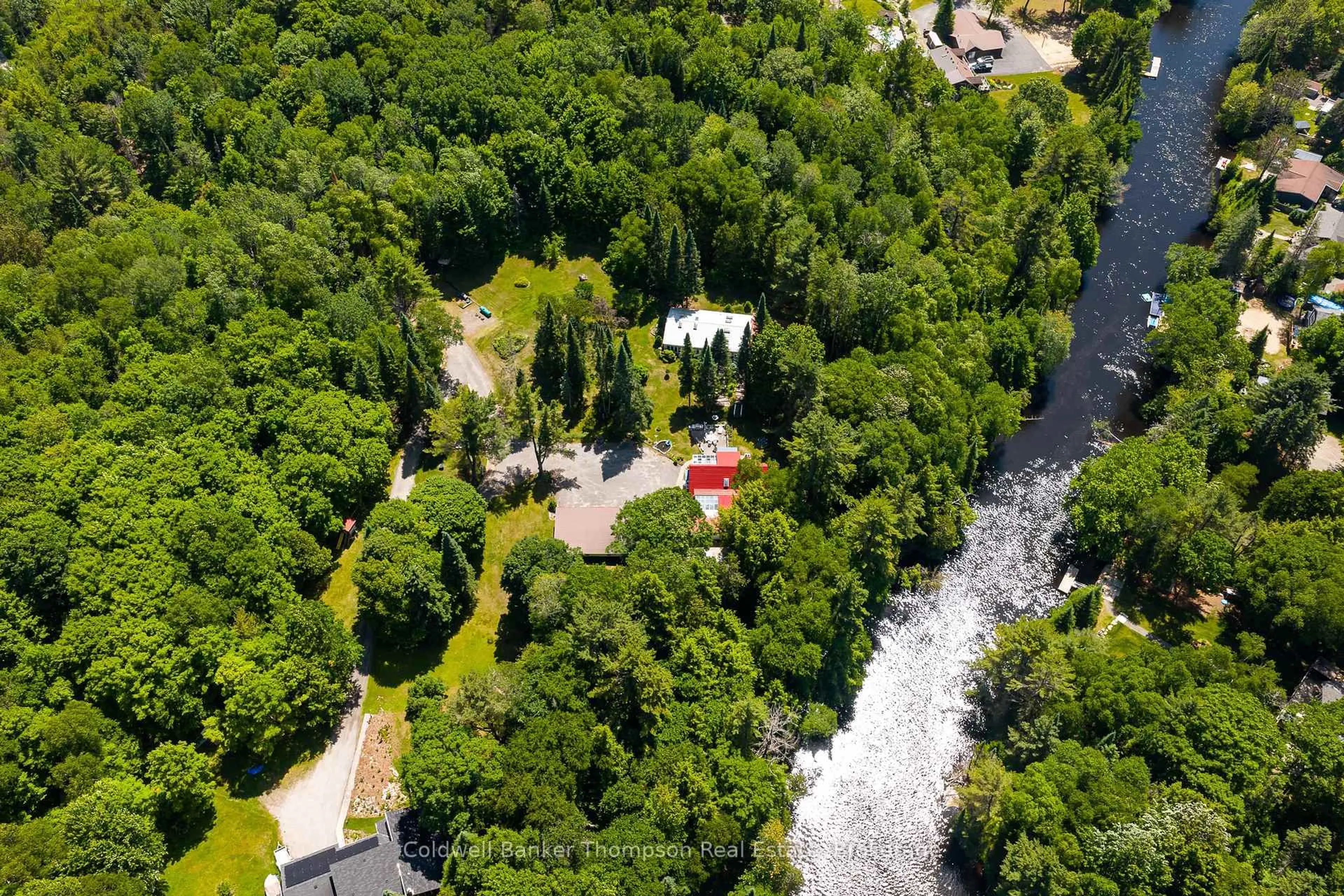 A pic from outside/outdoor area/front of a property/back of a property/a pic from drone, forest/trees view for 124 Hutcheson Beach Rd, Huntsville Ontario P1H 1N4