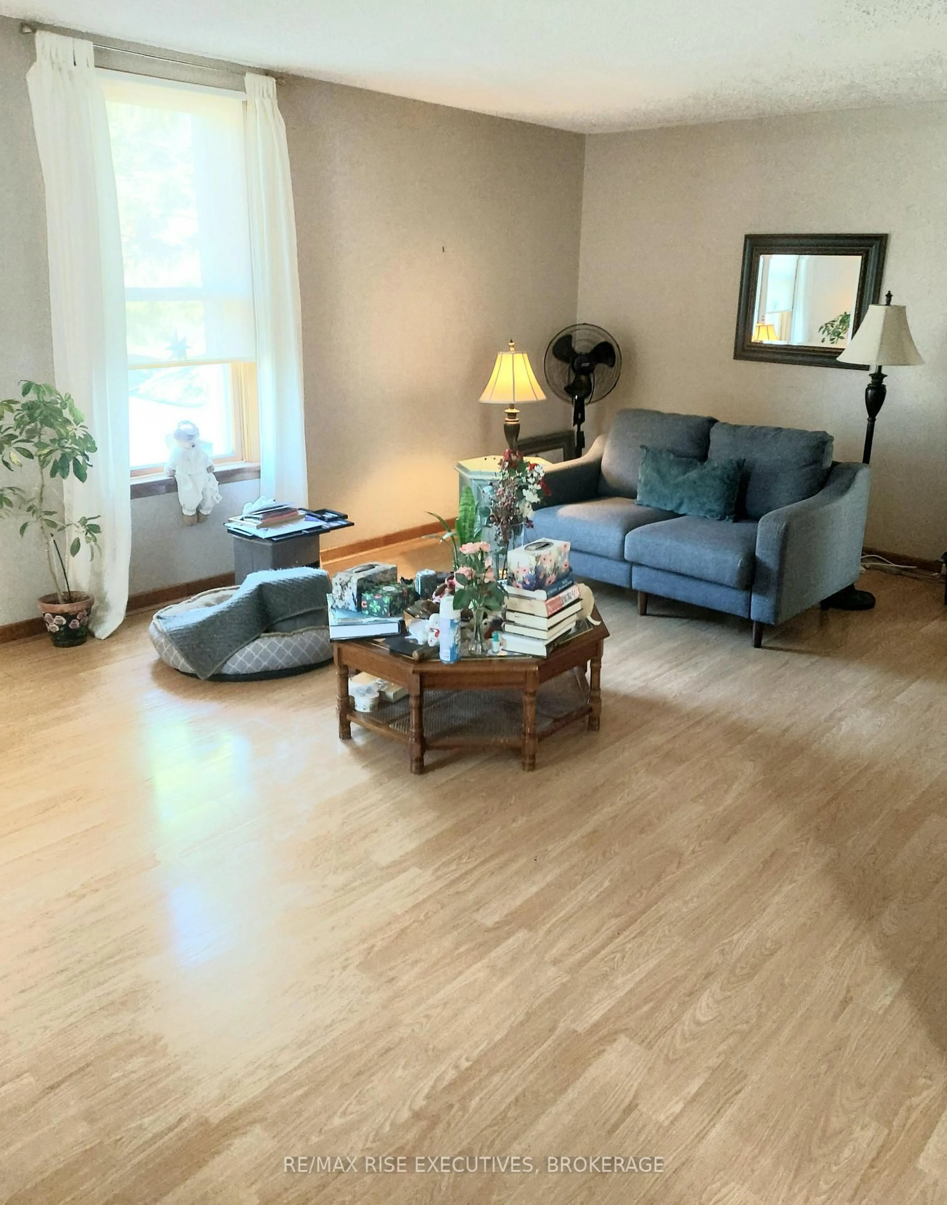 Living room with furniture, unknown for 1041 Prince St, Lansdowne Village Ontario K0E 1L0