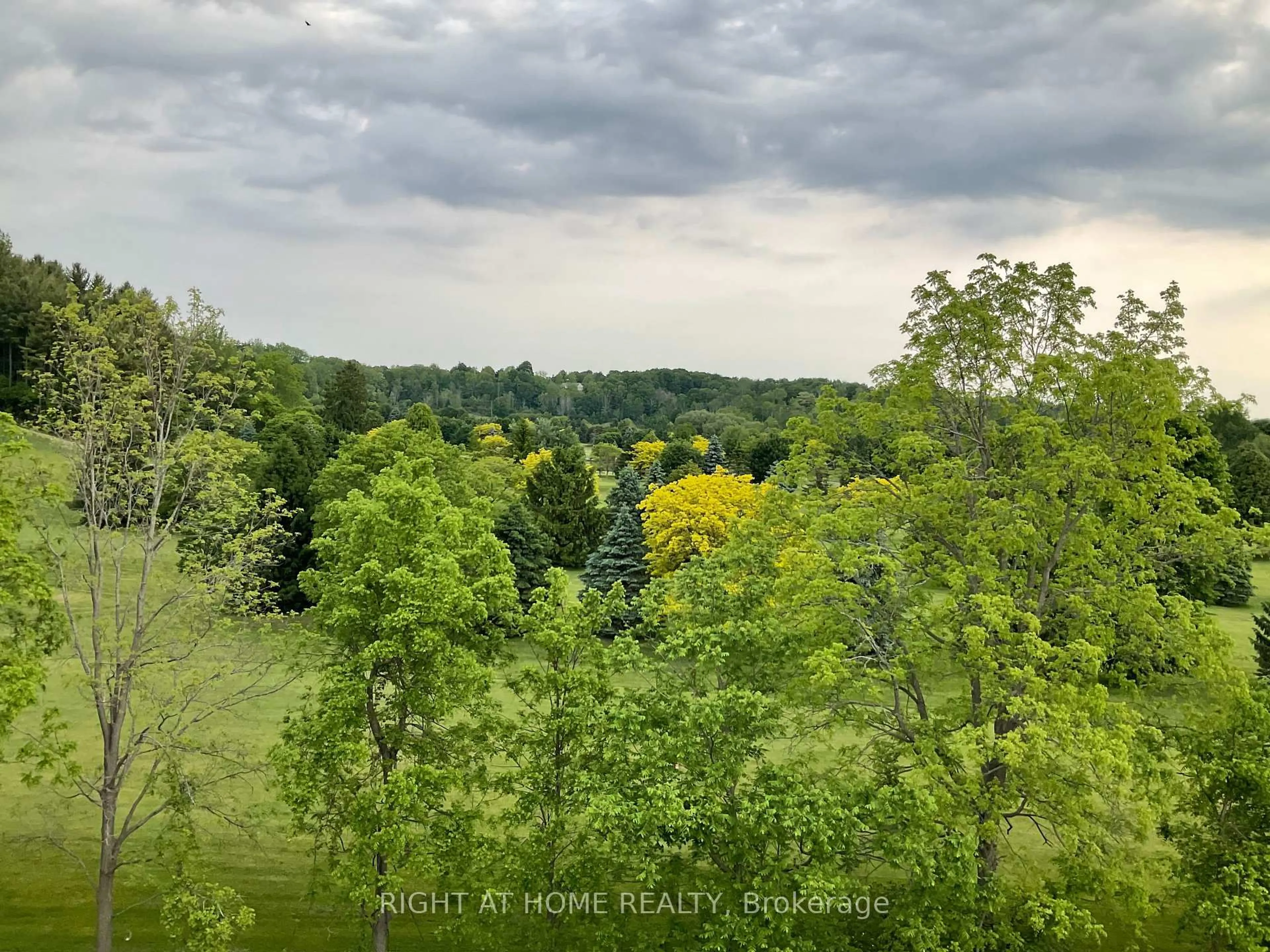 A pic from outside/outdoor area/front of a property/back of a property/a pic from drone, forest/trees view for 100 The promenade Rd #211, Central Elgin Ontario N5L 0B7