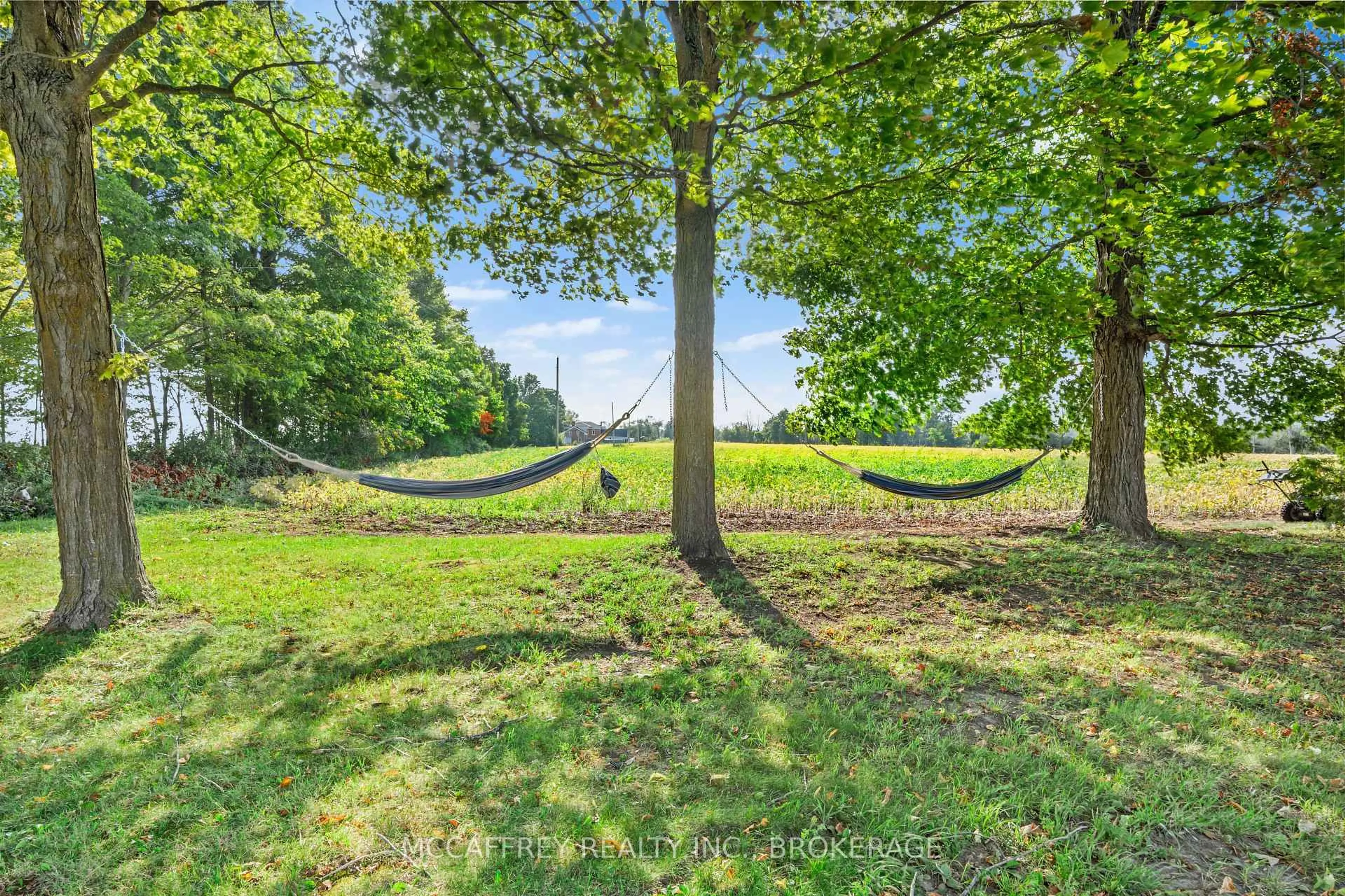 Patio, forest/trees view for 2055 Switzerville Rd, Loyalist Ontario K7R 3K9