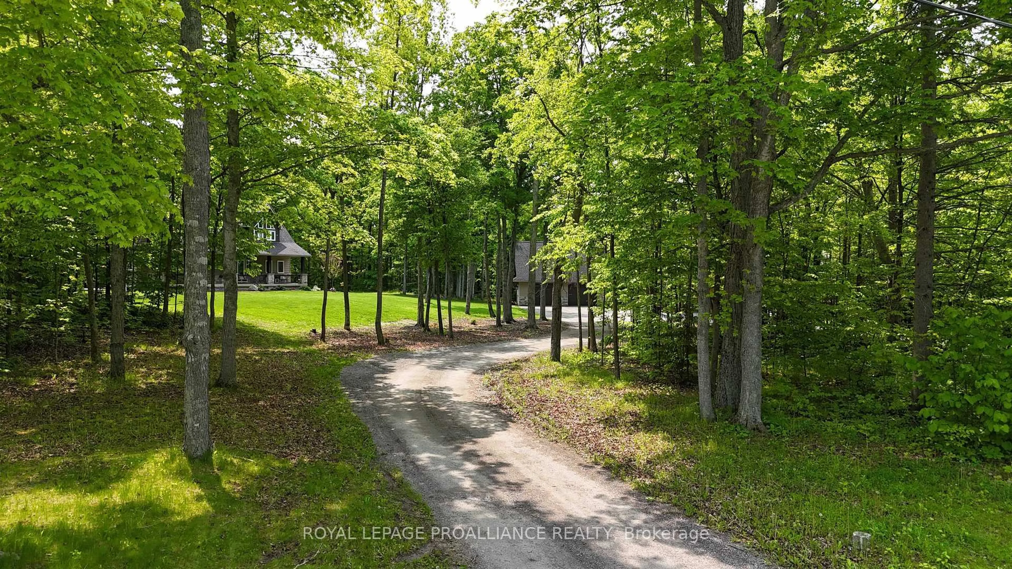 A pic from outside/outdoor area/front of a property/back of a property/a pic from drone, forest/trees view for 123 Mcconnell Rd, Stirling Ontario K0K 3E0