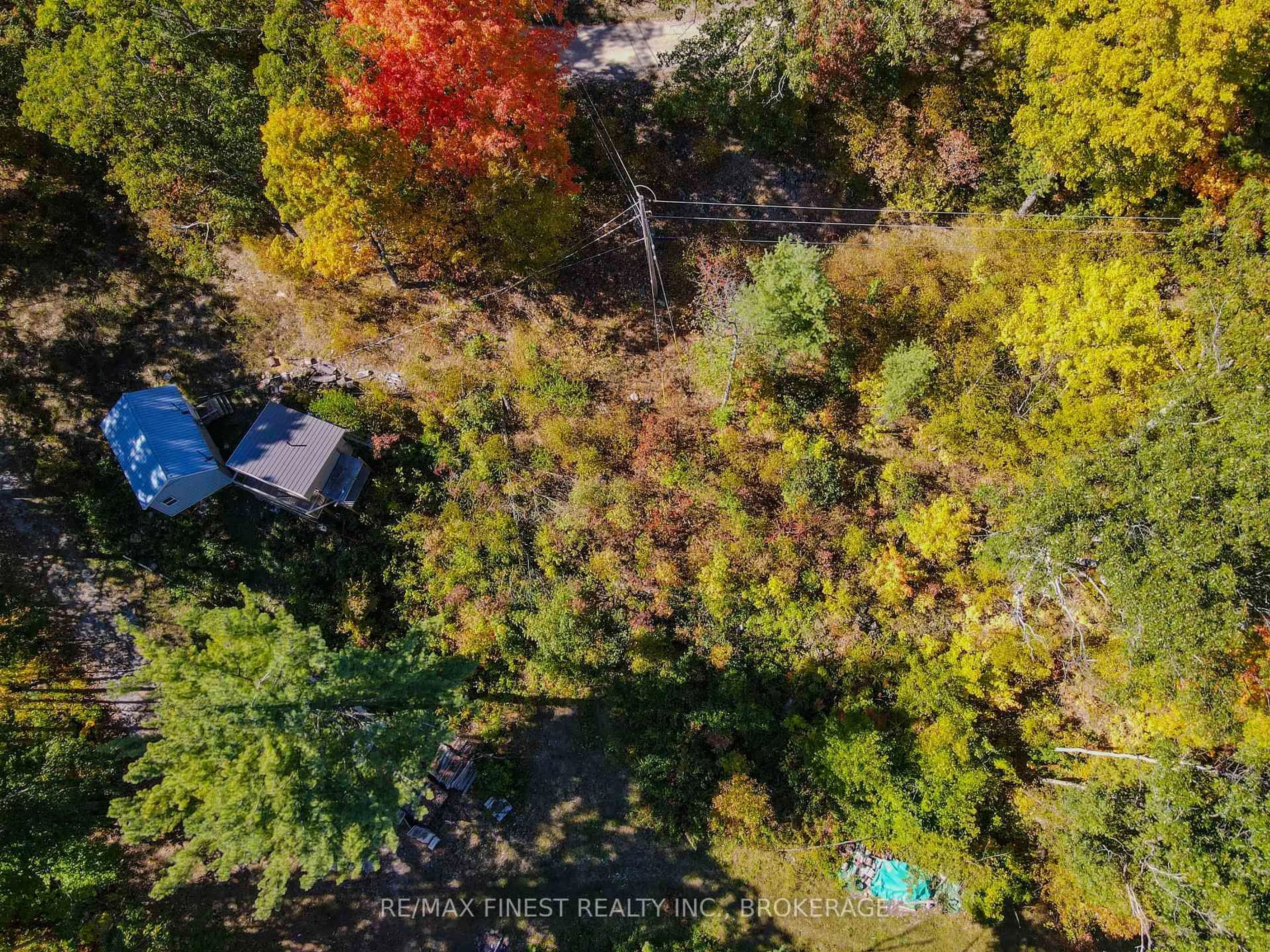 A pic from outside/outdoor area/front of a property/back of a property/a pic from drone, forest/trees view for 1097 Big Bay Dr, Arden Ontario K0H 1B0