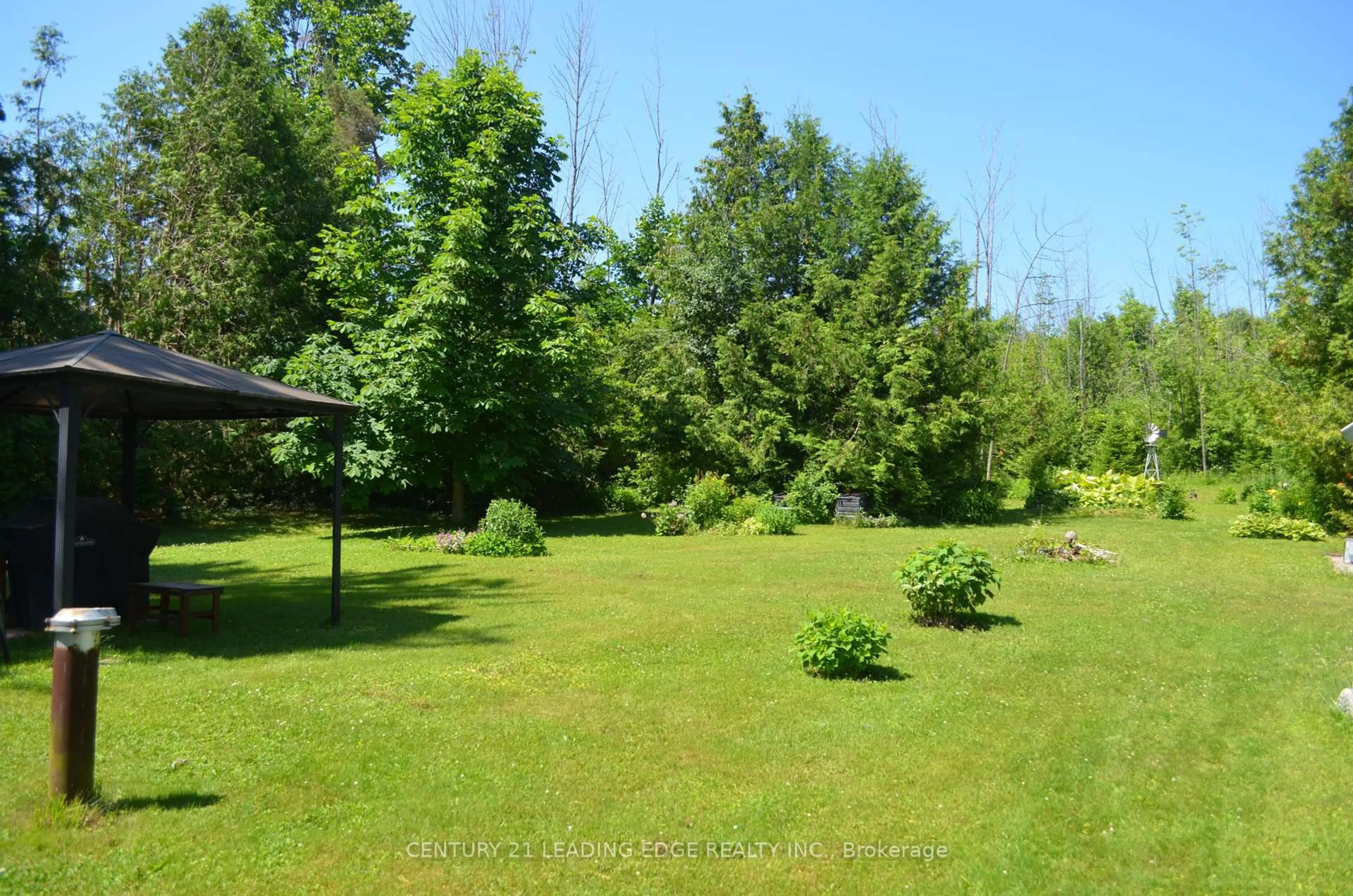 Patio, forest/trees view for 259 George Dr, Kawartha Lakes Ontario K0M 1A0