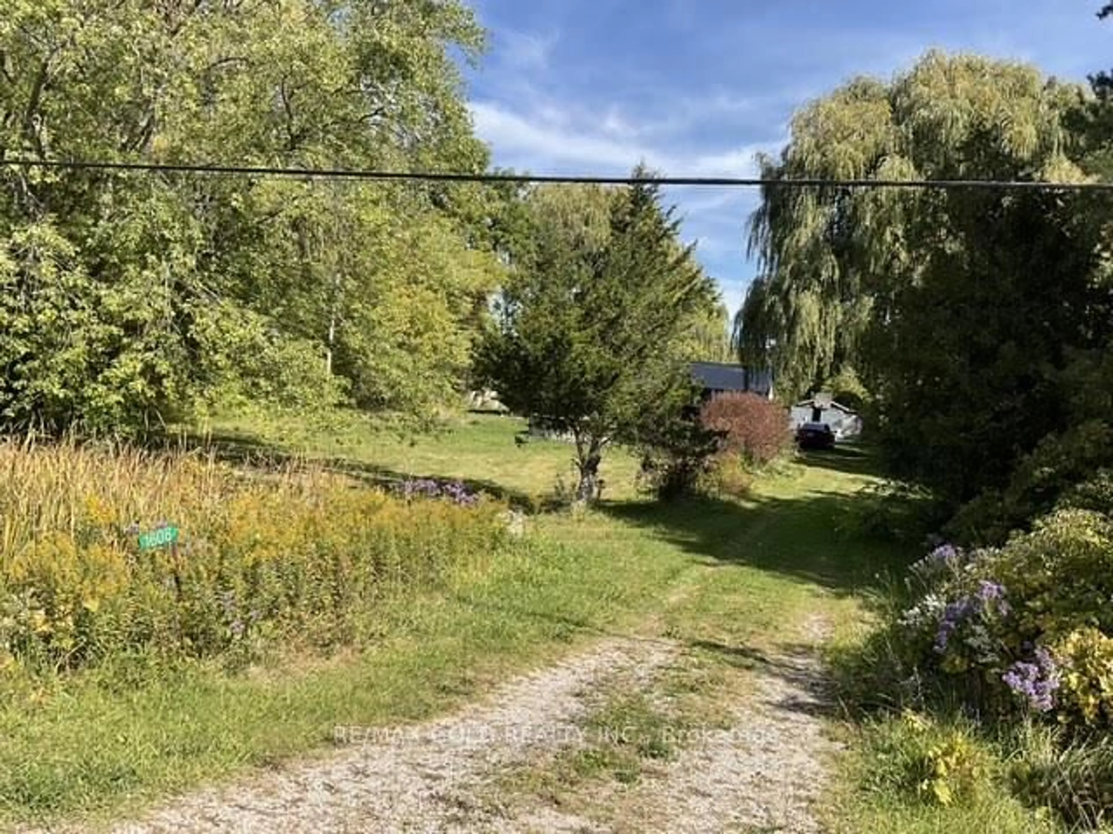 A pic from outside/outdoor area/front of a property/back of a property/a pic from drone, forest/trees view for 1608 Highway 59, Norfolk Ontario N0E 1G0
