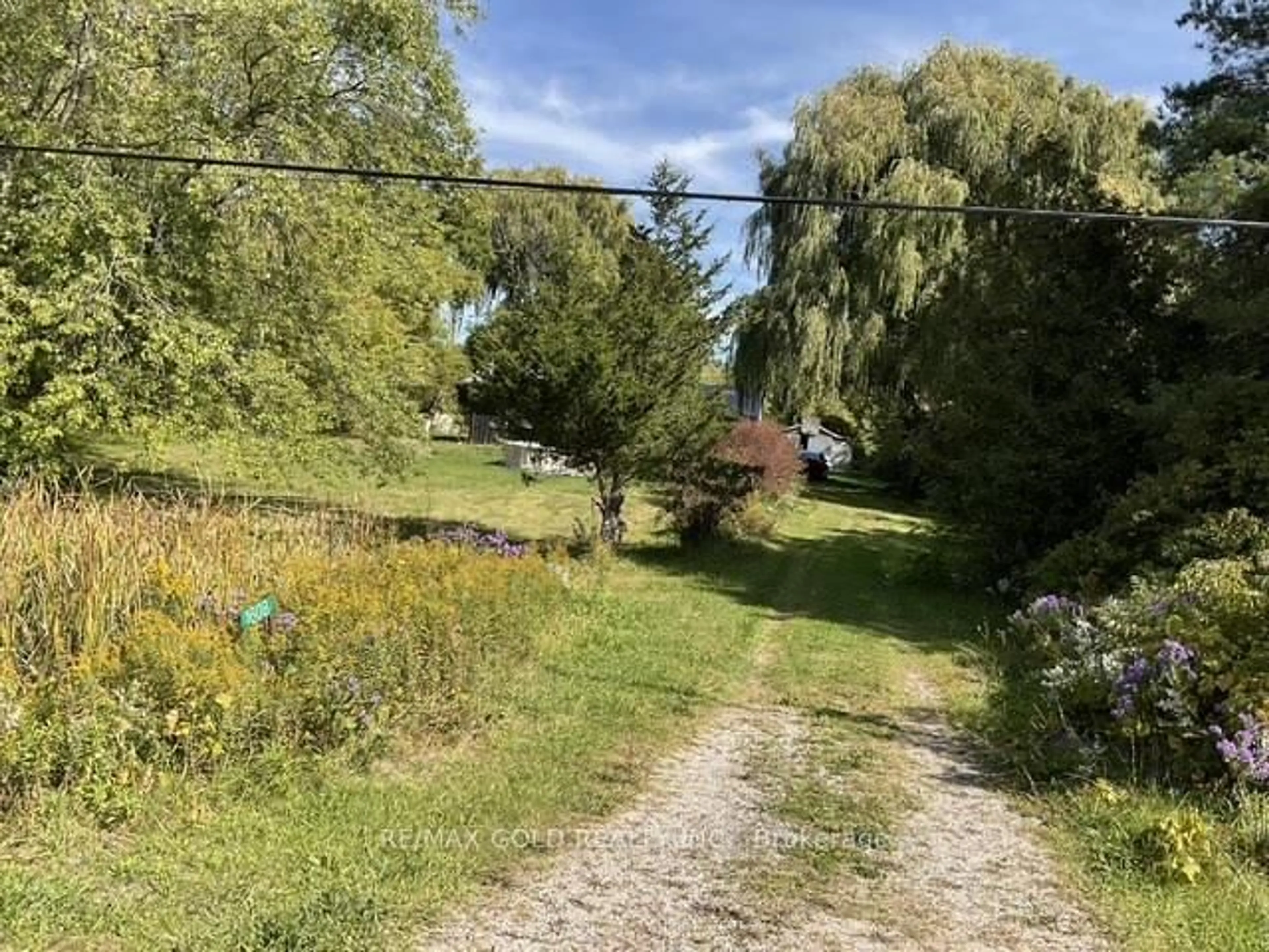 A pic from outside/outdoor area/front of a property/back of a property/a pic from drone, forest/trees view for 1608 Highway 59, Norfolk Ontario N0E 1G0