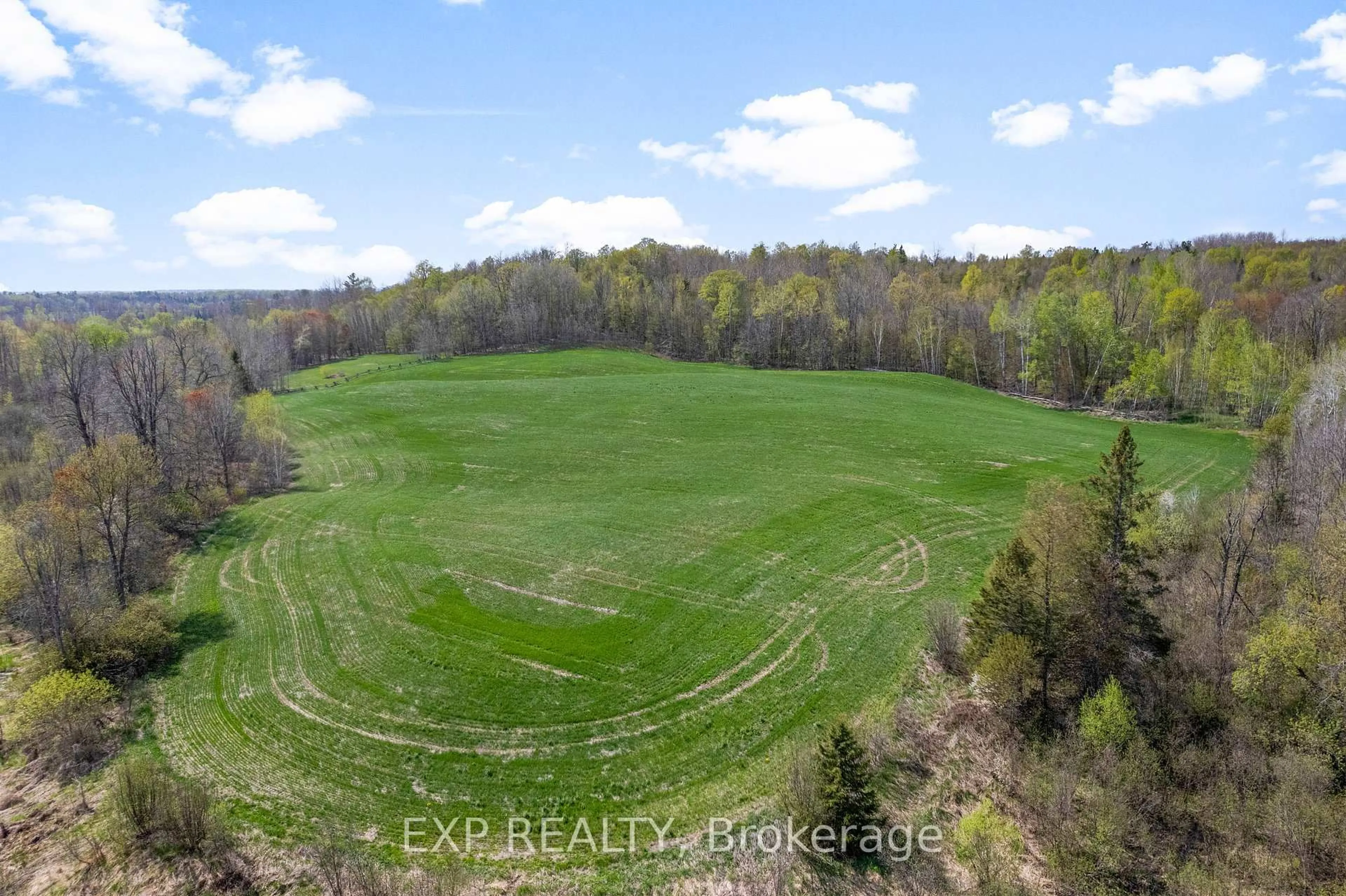 A pic from outside/outdoor area/front of a property/back of a property/a pic from drone, forest/trees view for 1724B Kohlsmith Rd, Cobden Ontario K0J 1K0