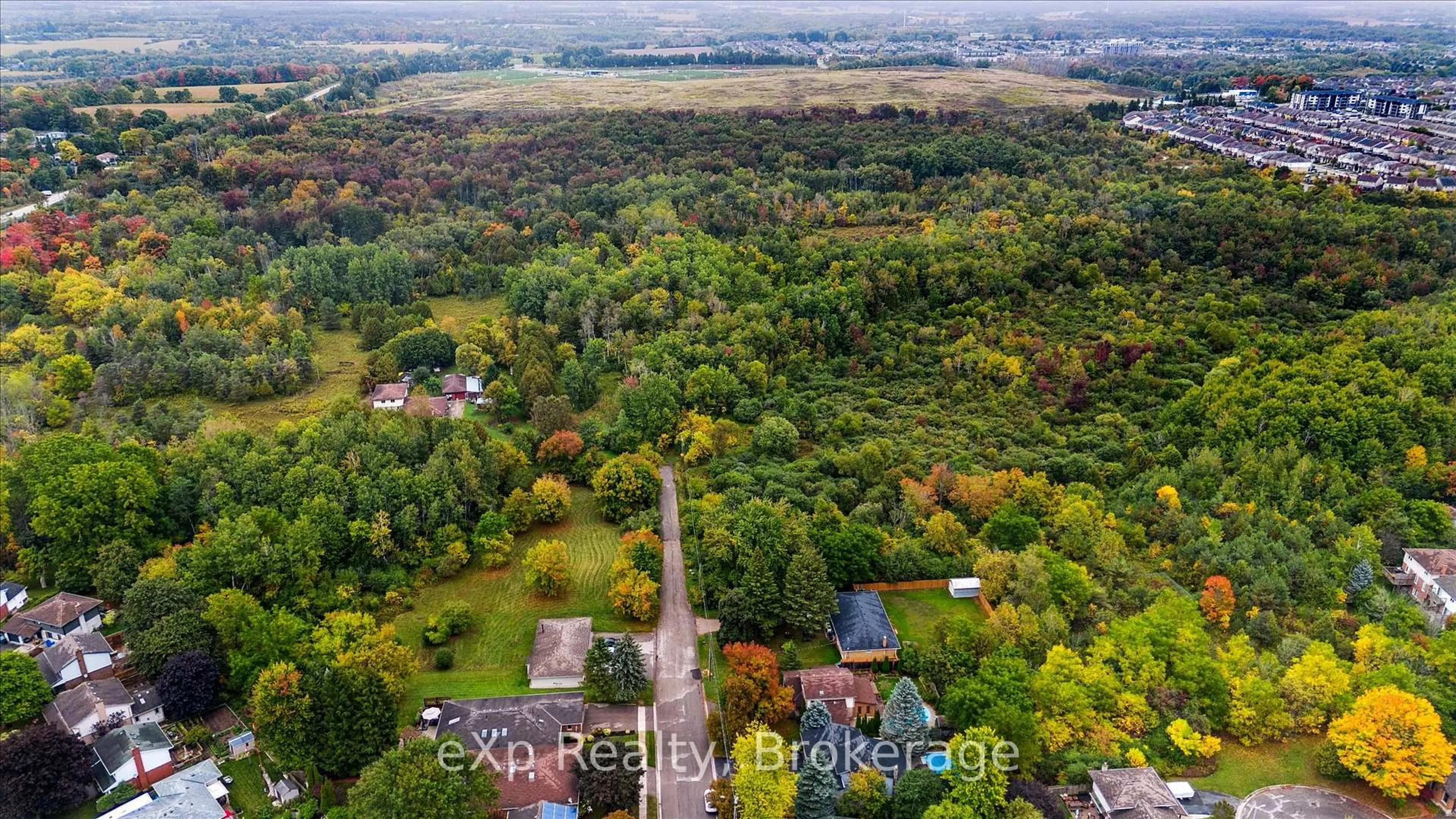 A pic from outside/outdoor area/front of a property/back of a property/a pic from drone, forest/trees view for 44 Hyland Rd, Guelph Ontario N1E 1T3