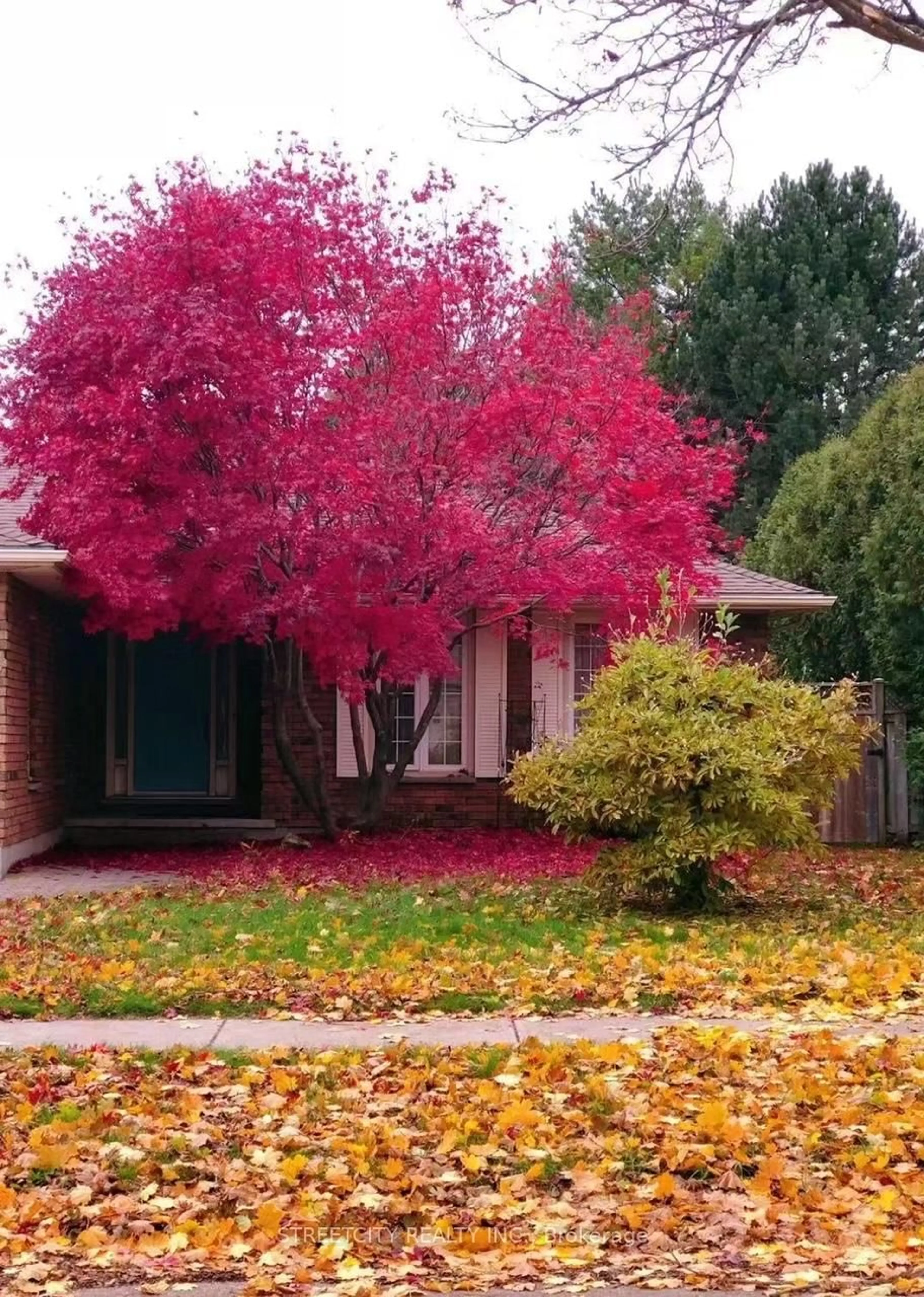 Home with brick exterior material, street for 37 Jennifer Rd, London North Ontario N5X 3L5