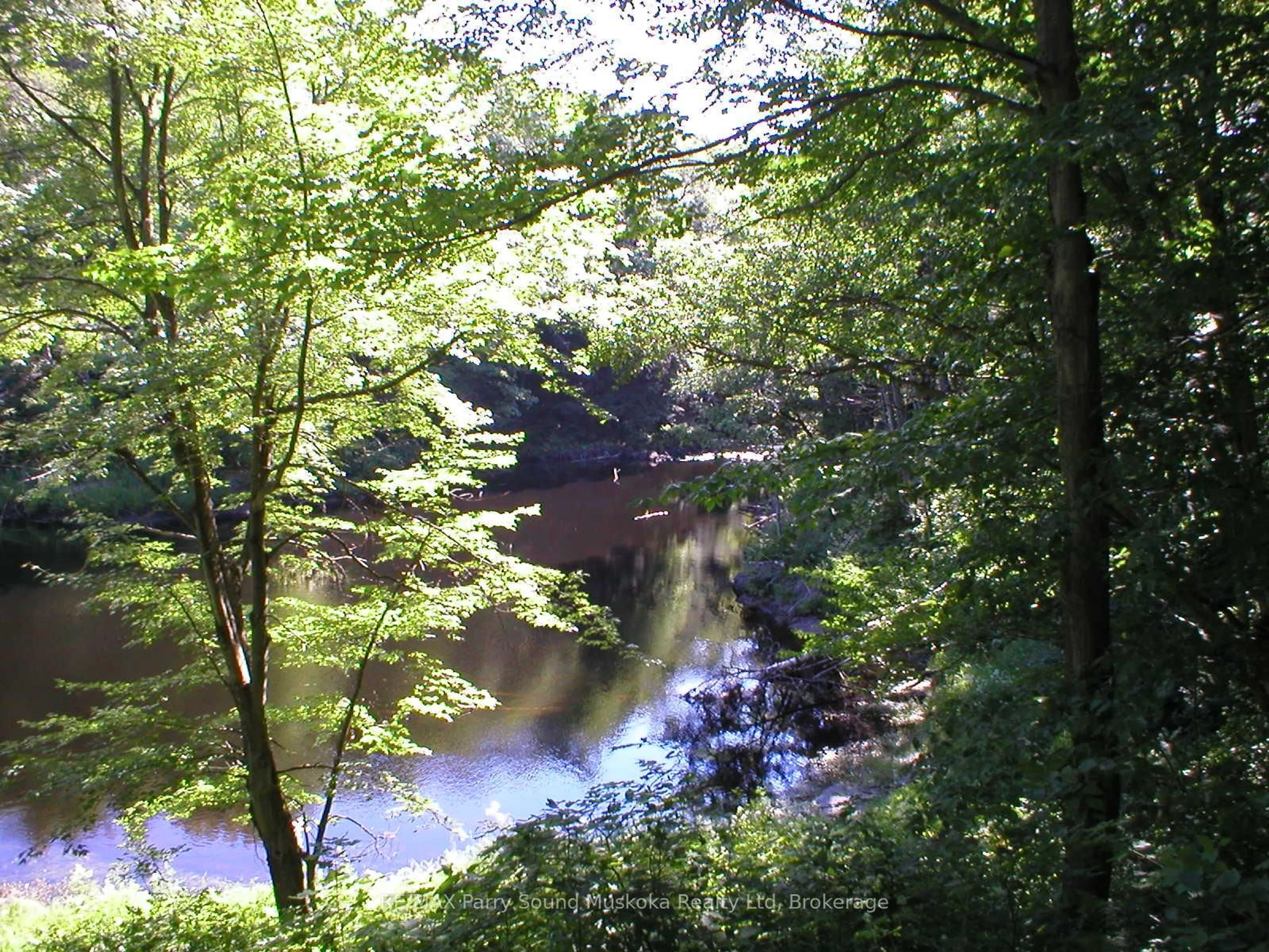Blurry image for 0 Lot 33 Con 14, Seguin Ontario P2A 0B2