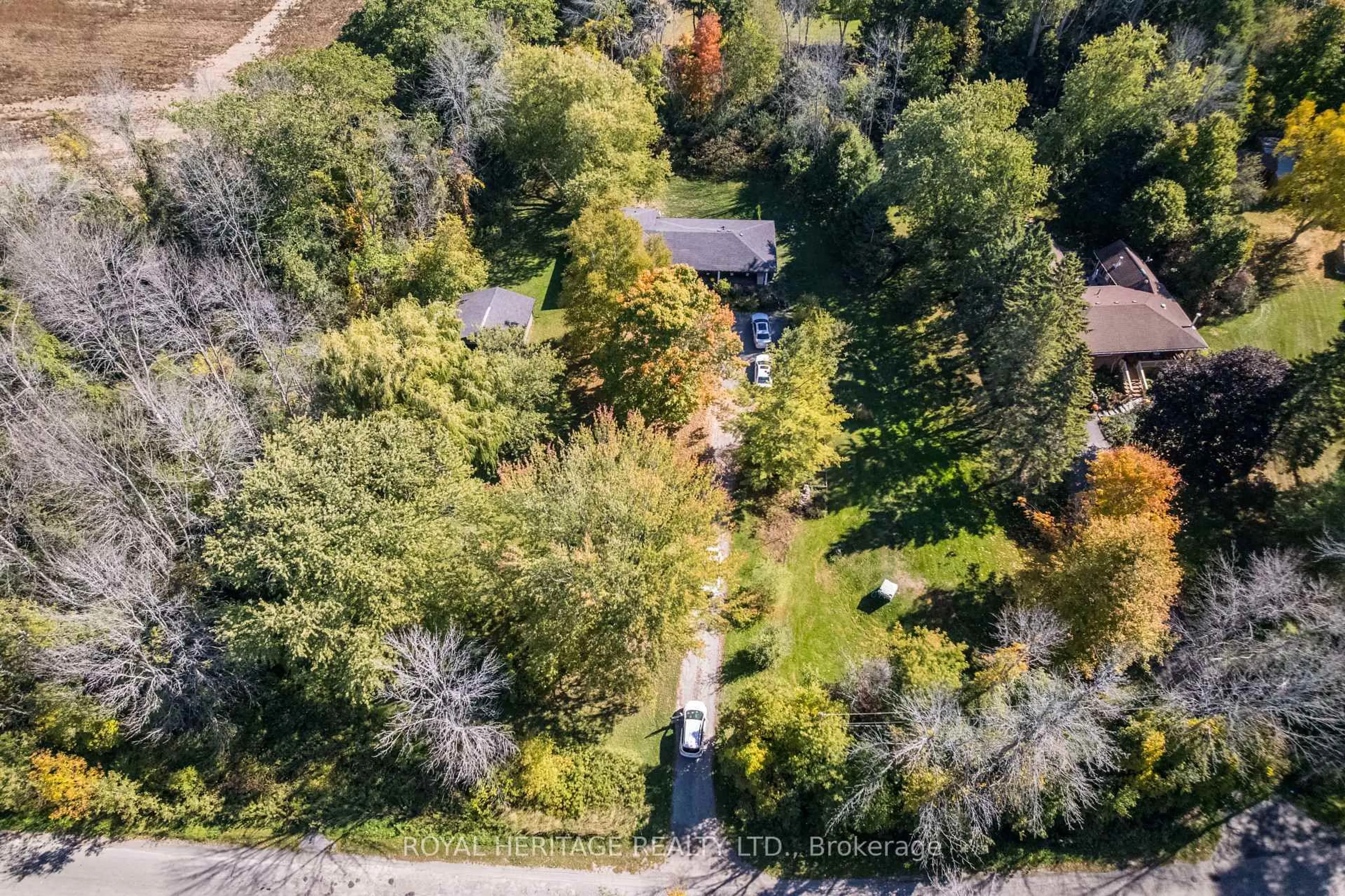 A pic from outside/outdoor area/front of a property/back of a property/a pic from drone, forest/trees view for 32 Mallory Rd, Prince Edward County Ontario K0K 1G0