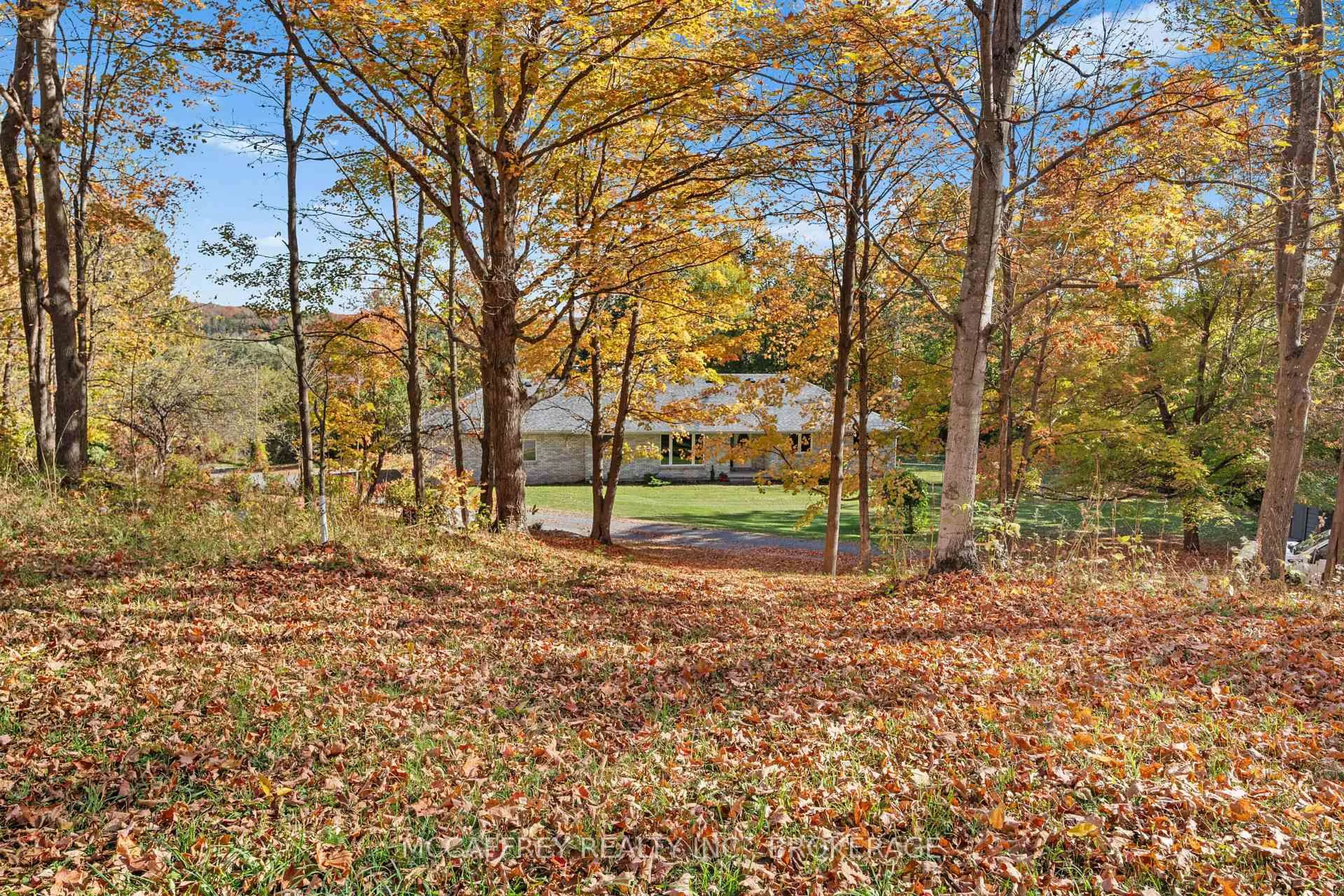 A pic from outside/outdoor area/front of a property/back of a property/a pic from drone, forest/trees view for 51 Luffman Rd, Tweed Ontario K0K 2L0