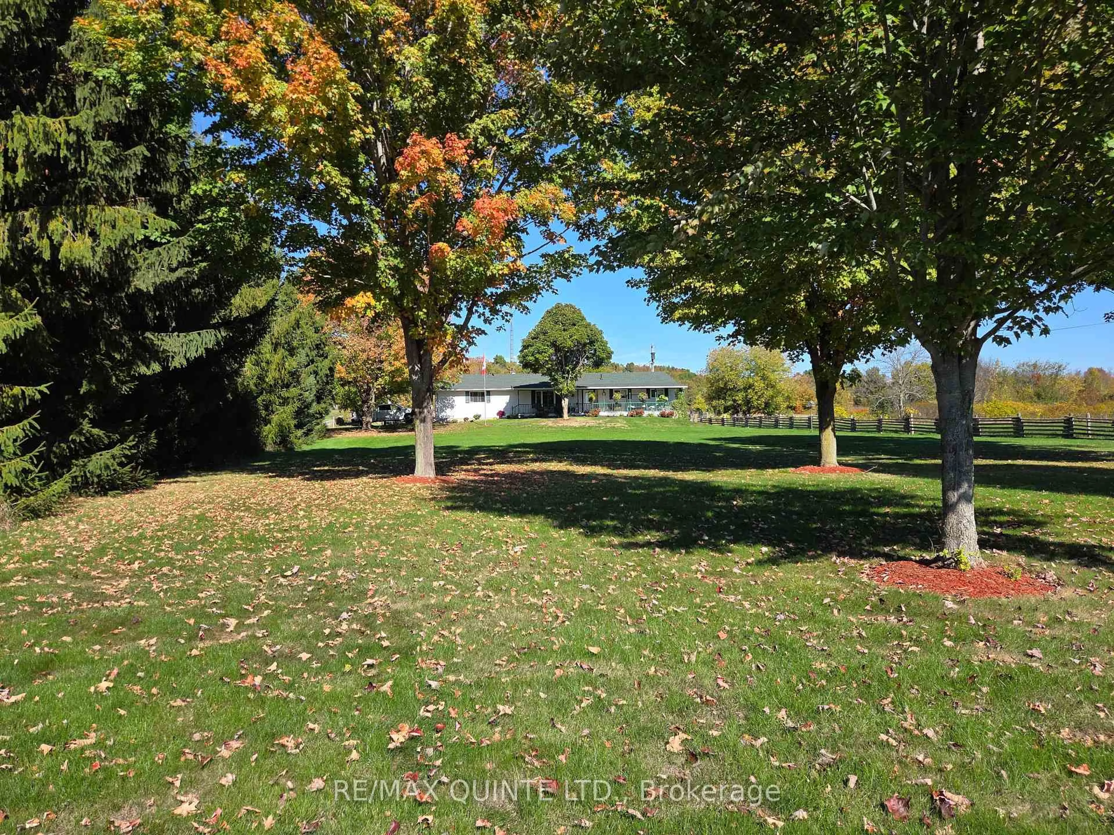 A pic from outside/outdoor area/front of a property/back of a property/a pic from drone, forest/trees view for 551 Marlbank Rd, Tweed Ontario K0K 3J0