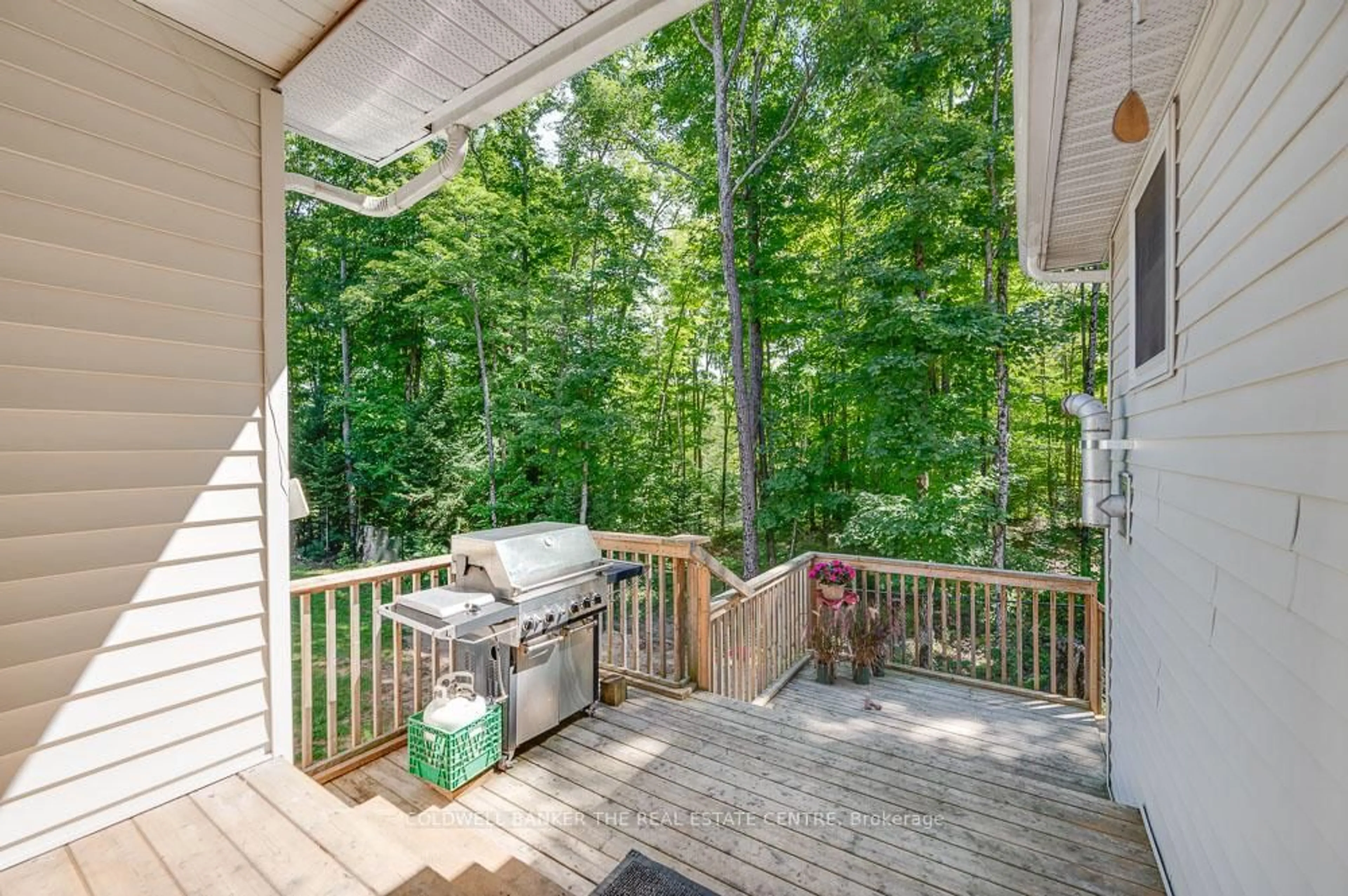 Patio, forest/trees view for 800 Jeffrey Lake Rd, Bancroft Ontario K0L 1C0