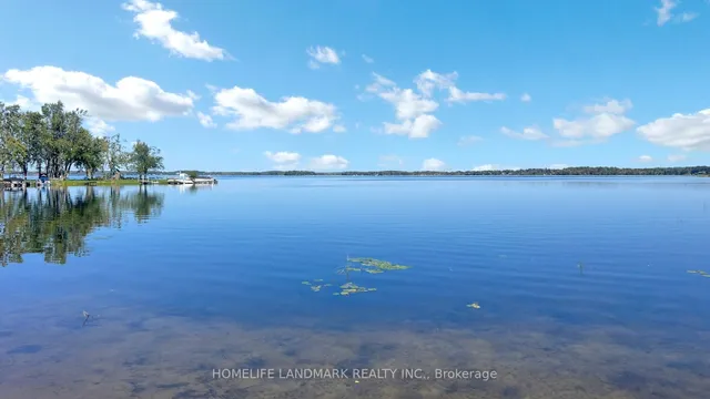 208 Lakeshore Dr, Kawartha Lakes 2