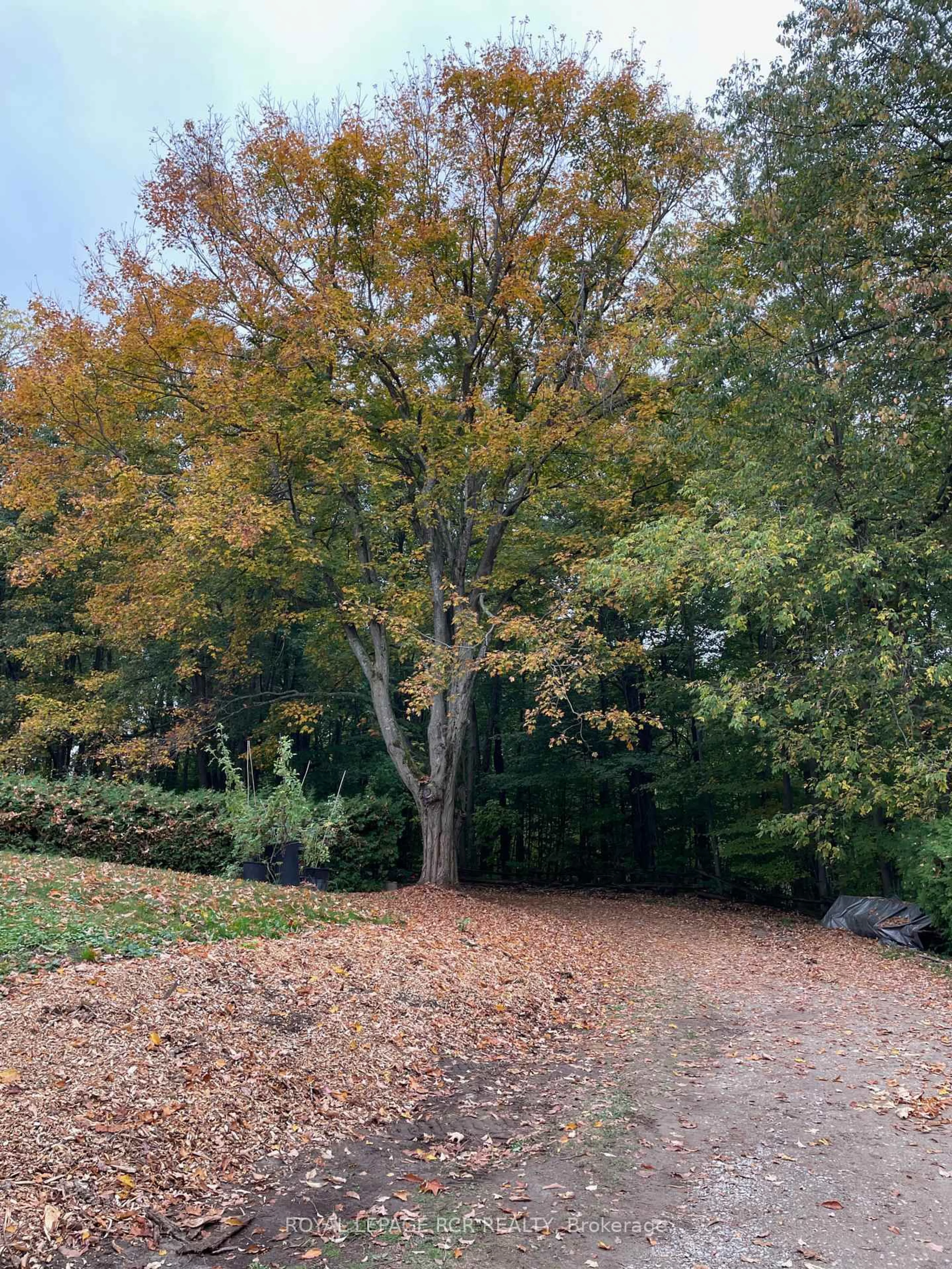 A pic from outside/outdoor area/front of a property/back of a property/a pic from drone, forest/trees view for 875122 5th Line, Mono Ontario L9W 6A9