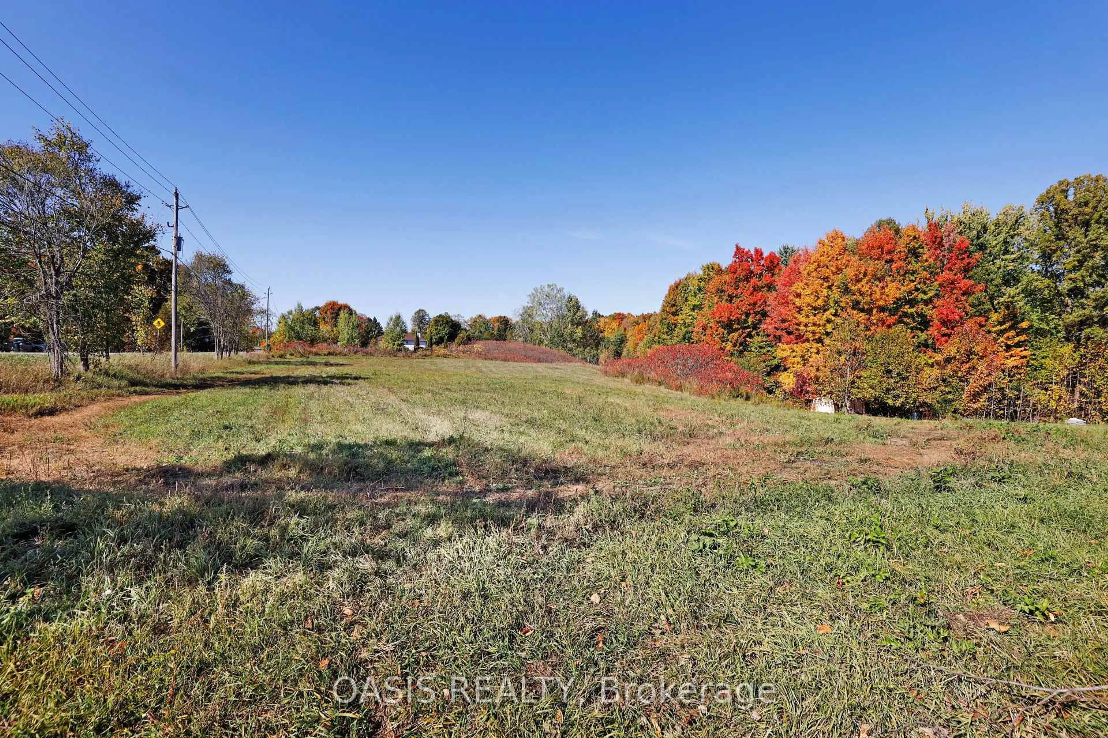 A pic from outside/outdoor area/front of a property/back of a property/a pic from drone, forest/trees view for 2993 Wilhaven Dr, Orleans Ontario K4C 1L1