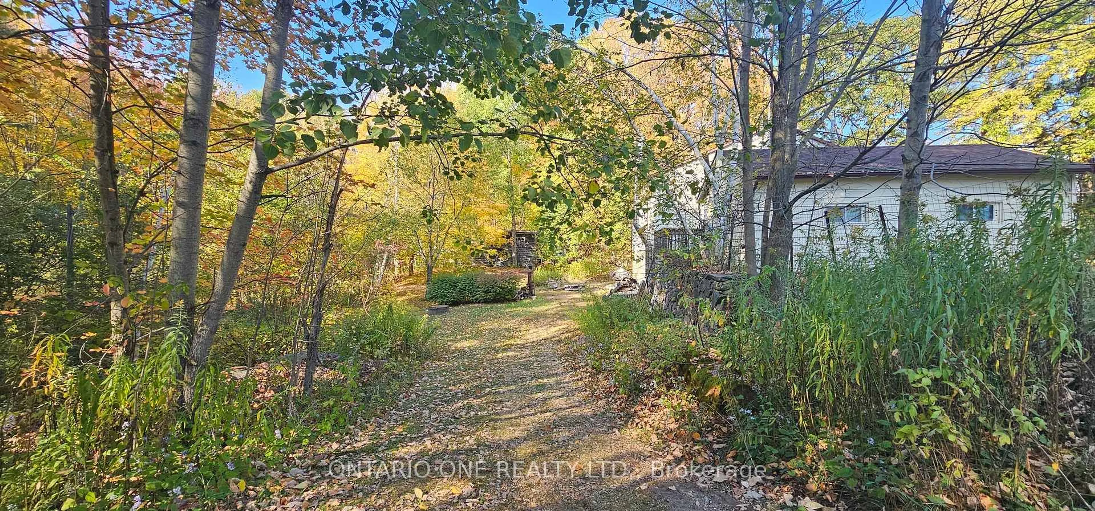 A pic from outside/outdoor area/front of a property/back of a property/a pic from drone, forest/trees view for 1479 11 Highway, Gravenhurst Ontario P0E 1G0