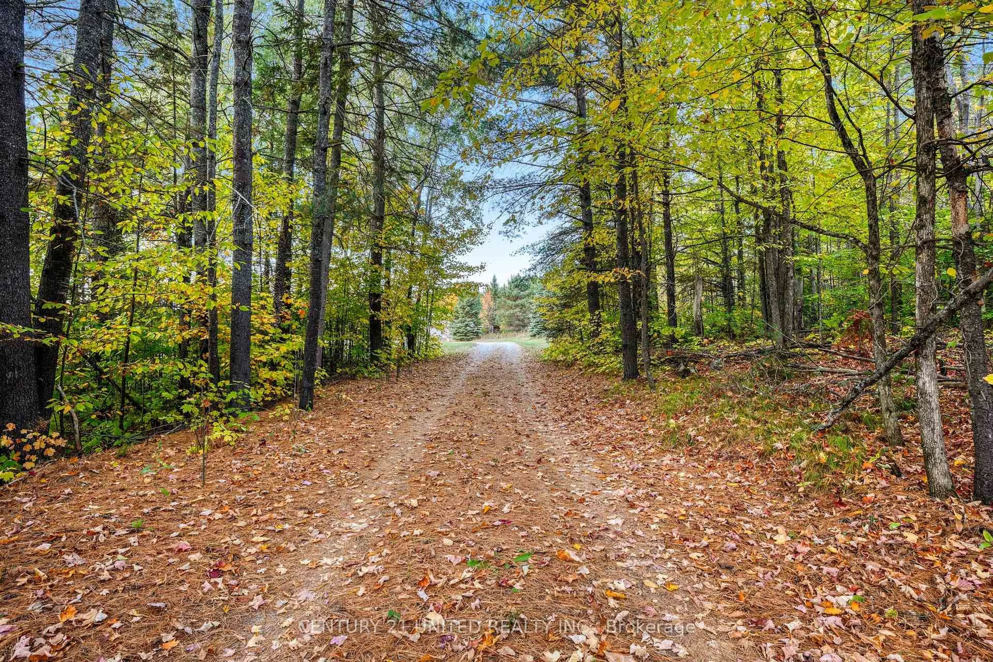 Unknown for 31 McLean Rd, Maple Leaf Ontario K0L 2R0