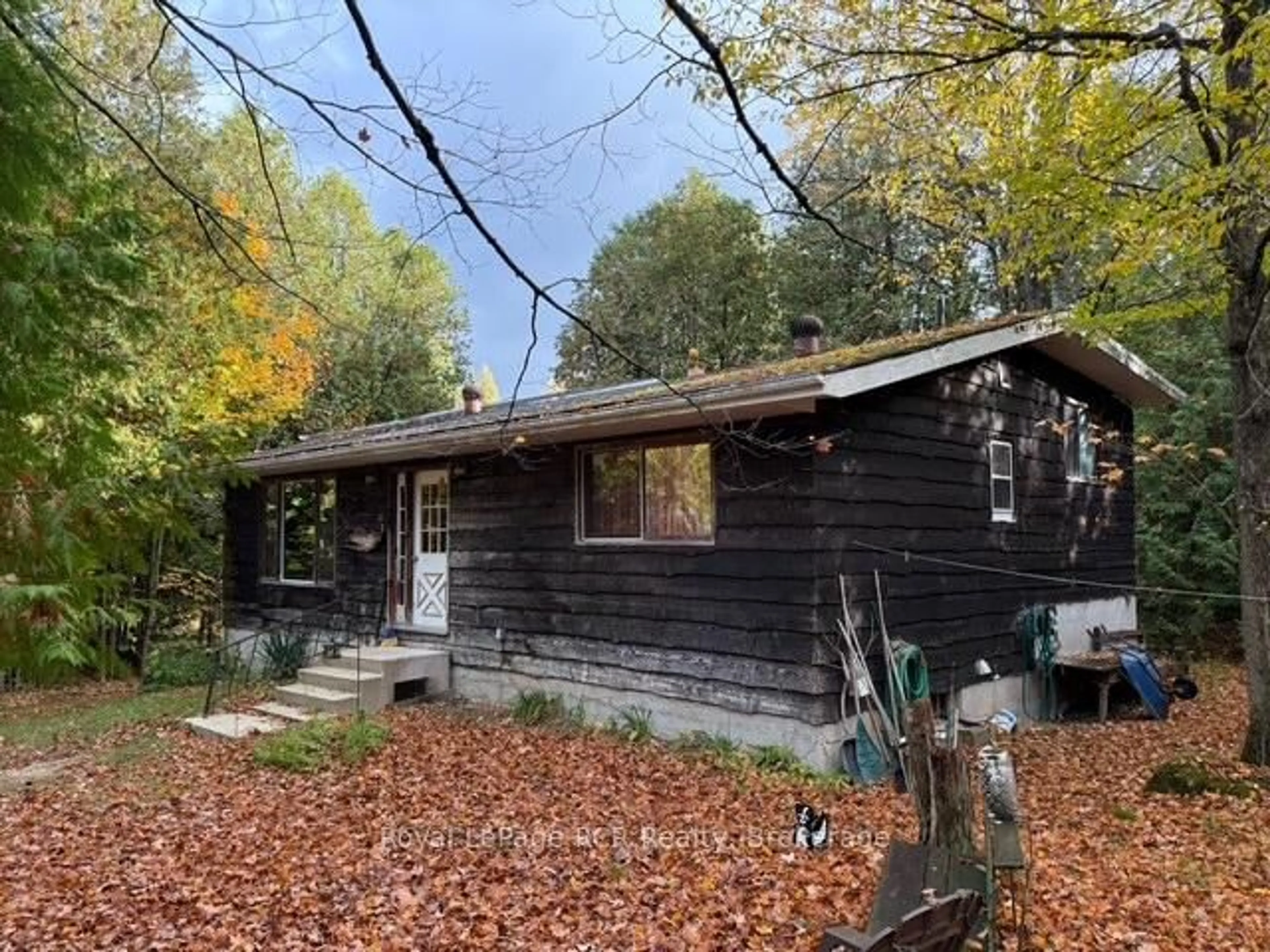 Shed for 315693 6 Highway, Chatsworth Ontario N0H 1G0