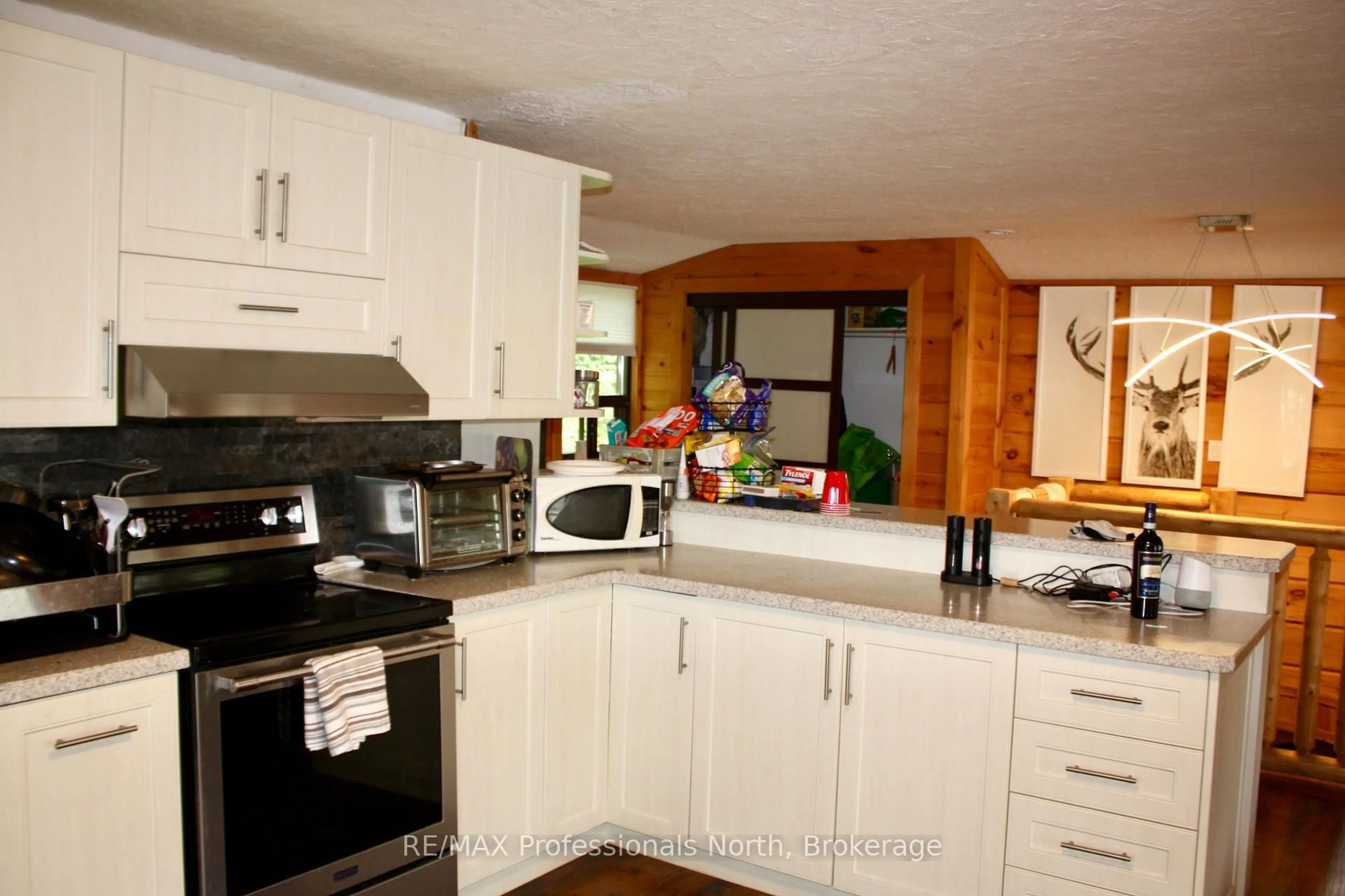 Standard kitchen, unknown for 388 Island 38, Havelock-Belmont-Methuen Ontario K0L 2H0