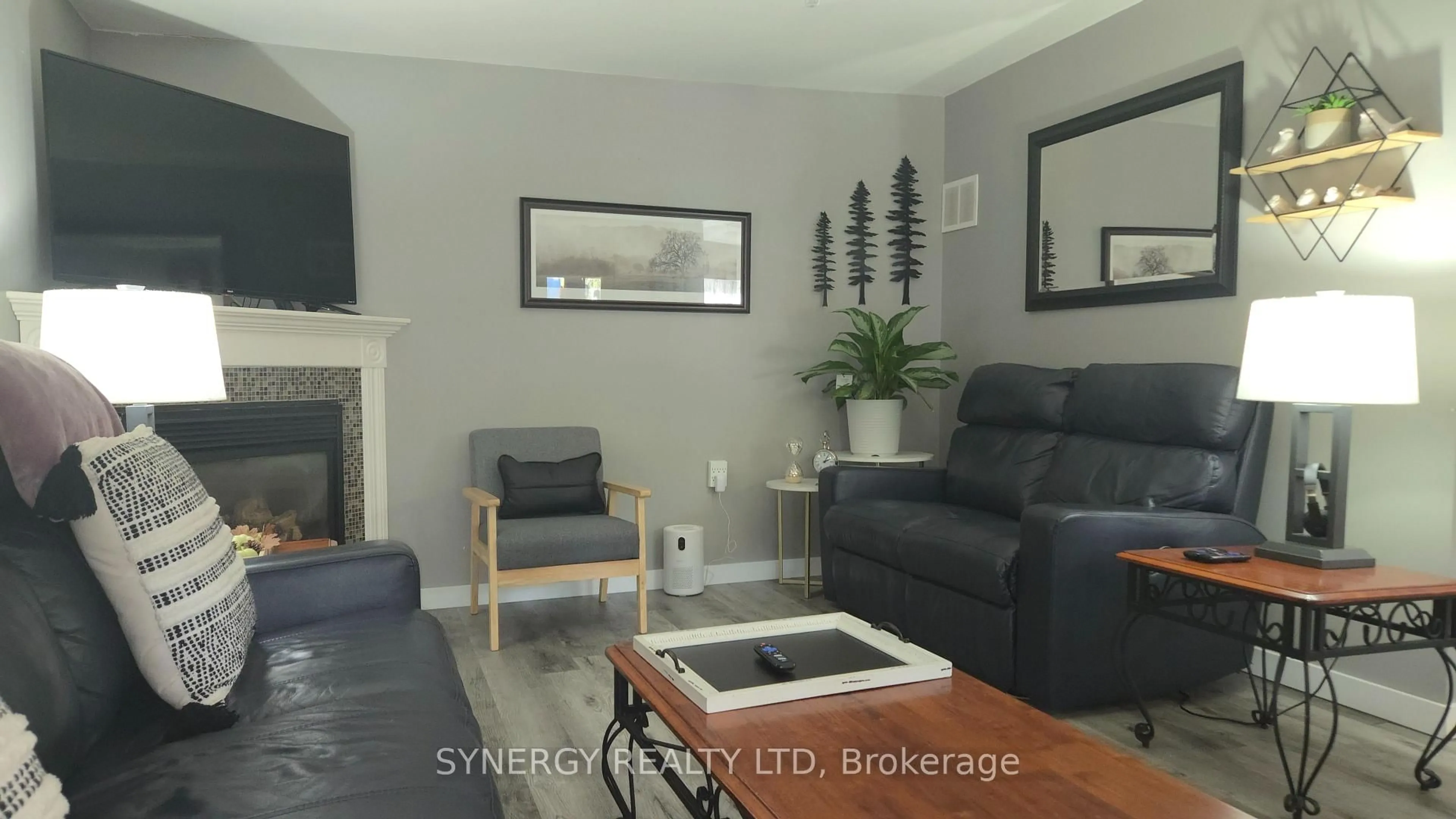 Living room with furniture, unknown for 24749 Park St, Strathroy-Caradoc Ontario N7G 1P4