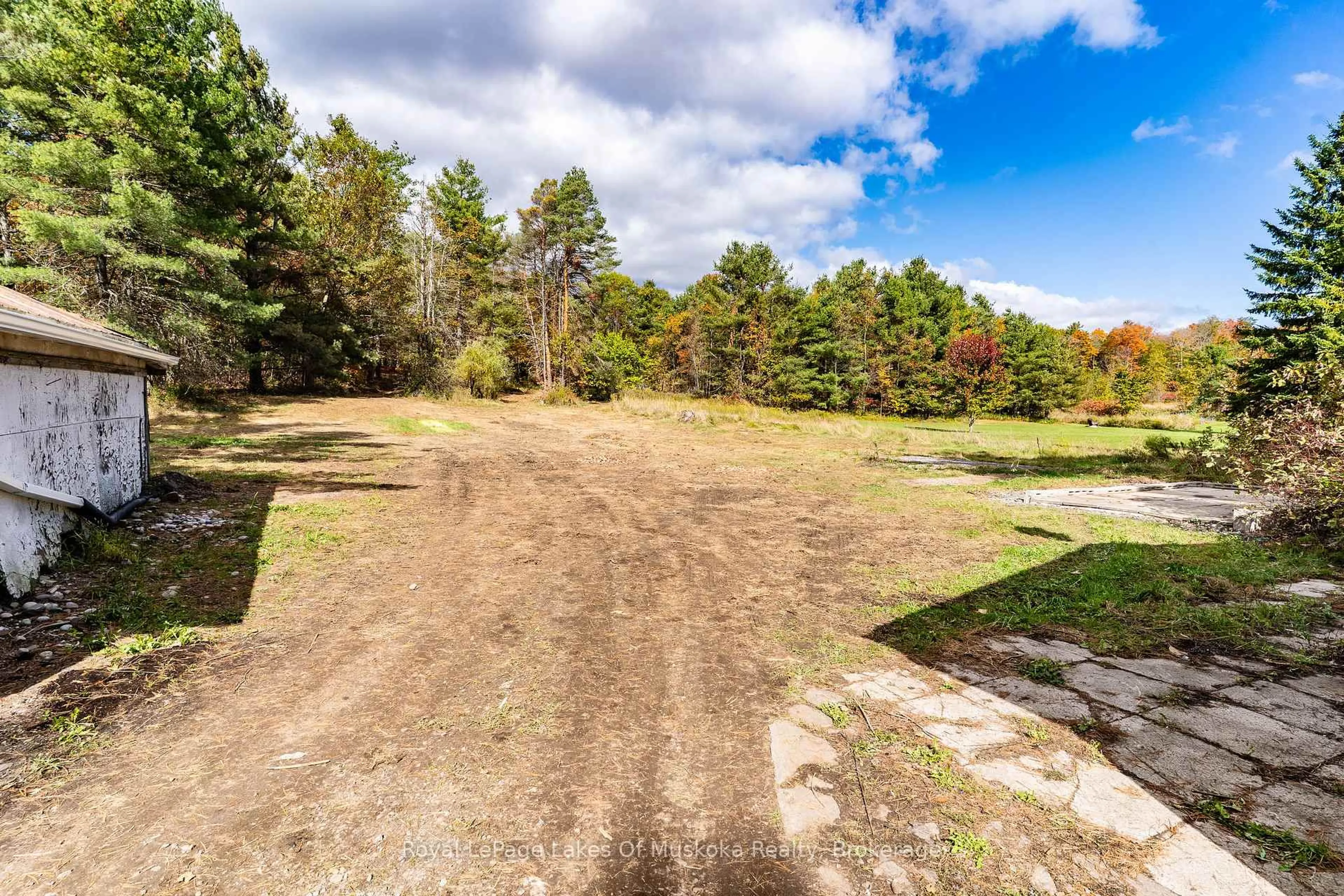 A pic from outside/outdoor area/front of a property/back of a property/a pic from drone, forest/trees view for 1015 Hewlitt Rd, Muskoka Lakes Ontario P1L 0J4