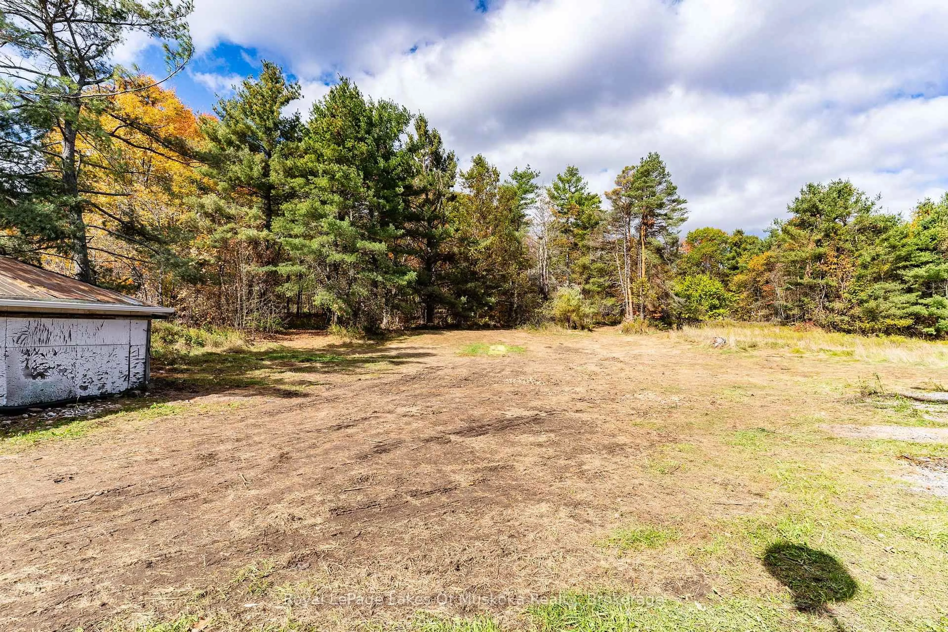 A pic from outside/outdoor area/front of a property/back of a property/a pic from drone, forest/trees view for 1015 Hewlitt Rd, Muskoka Lakes Ontario P1L 0J4