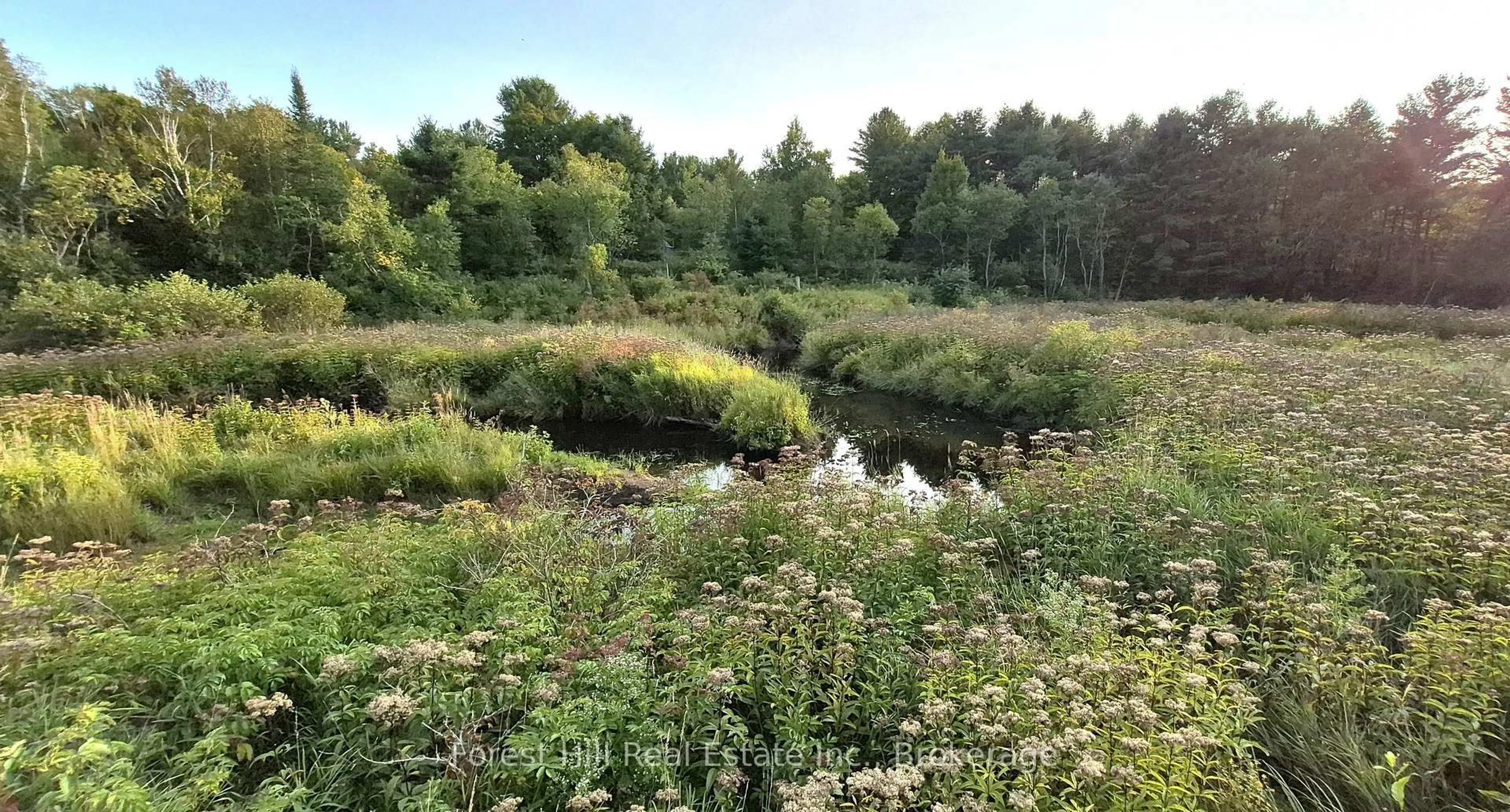 Blurry image for 77 James Bay Junction Rd, Seguin Ontario P2A 0B2