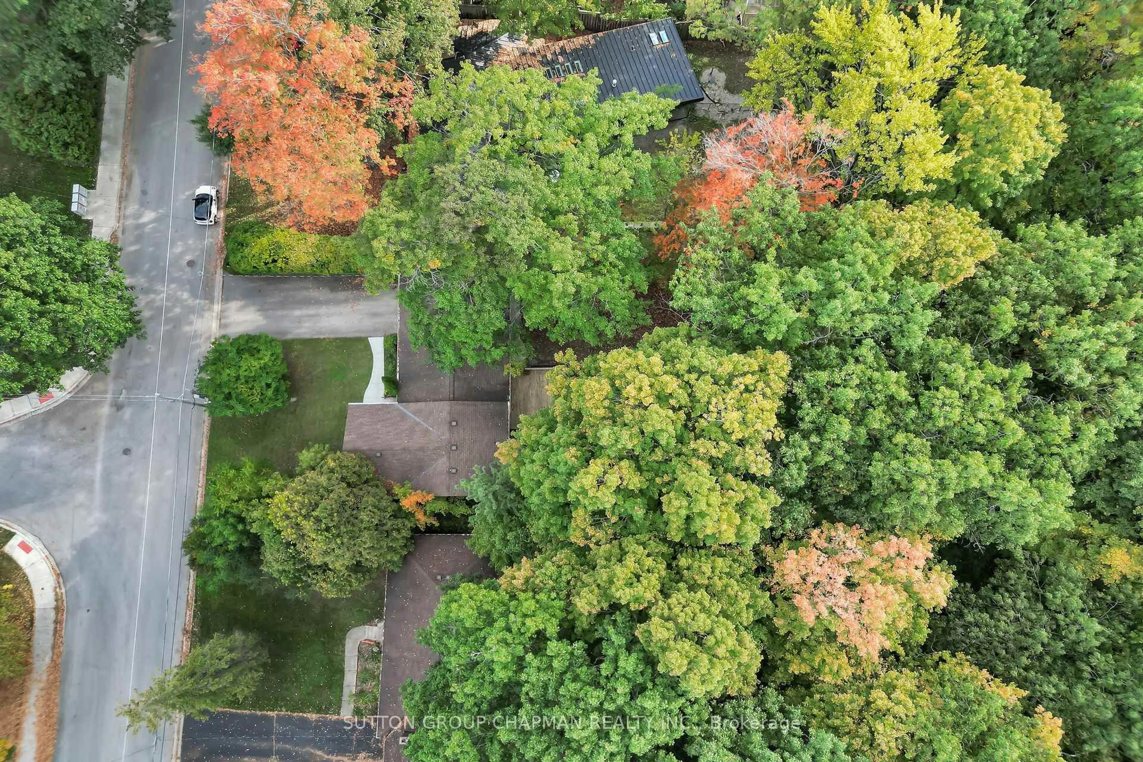 A pic from outside/outdoor area/front of a property/back of a property/a pic from drone, forest/trees view for 462 Oak Park Dr, London North Ontario N6H 3N4