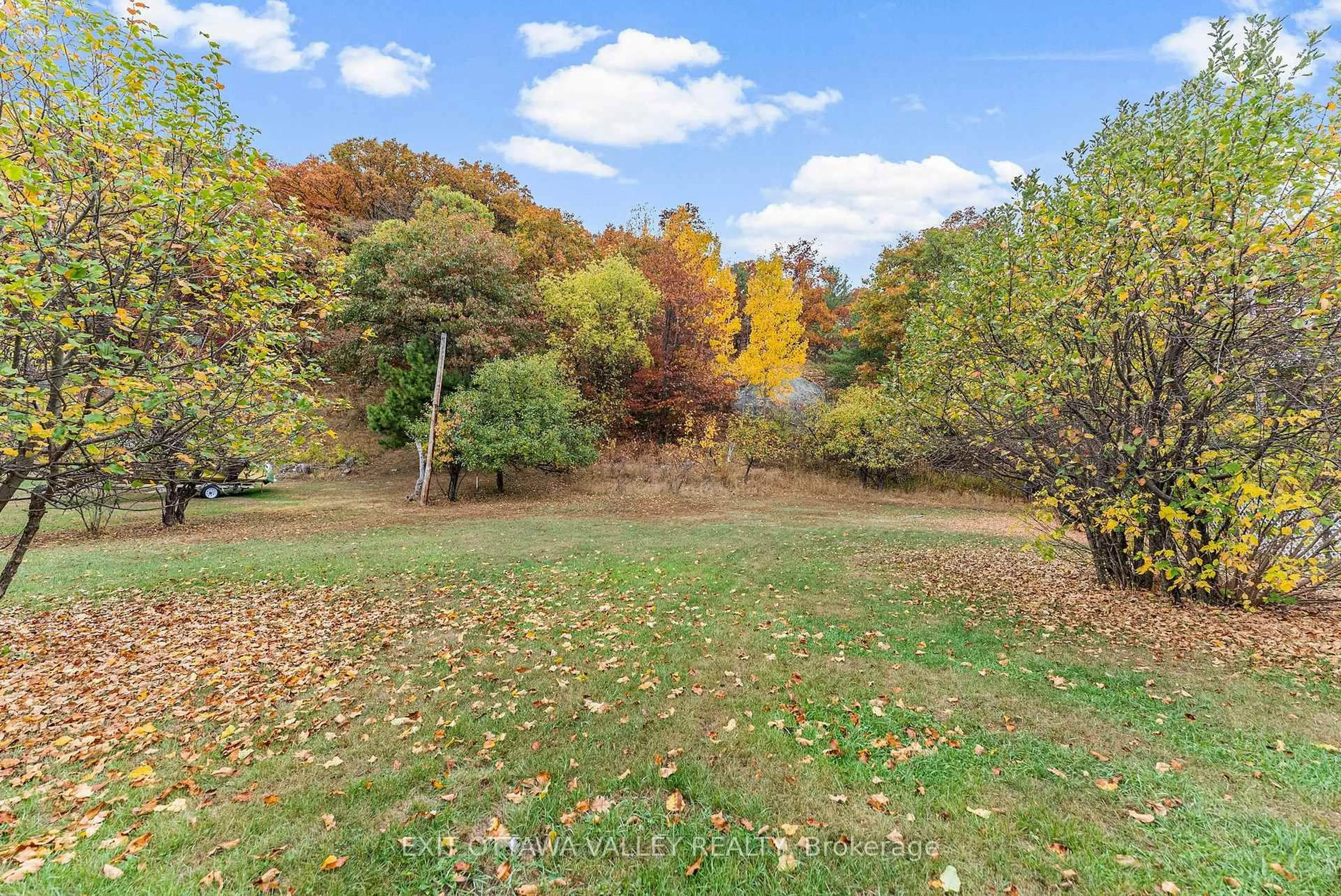 A pic from outside/outdoor area/front of a property/back of a property/a pic from drone, forest/trees view for 48 Needham St, Barry's Bay Ontario K0J 1B0
