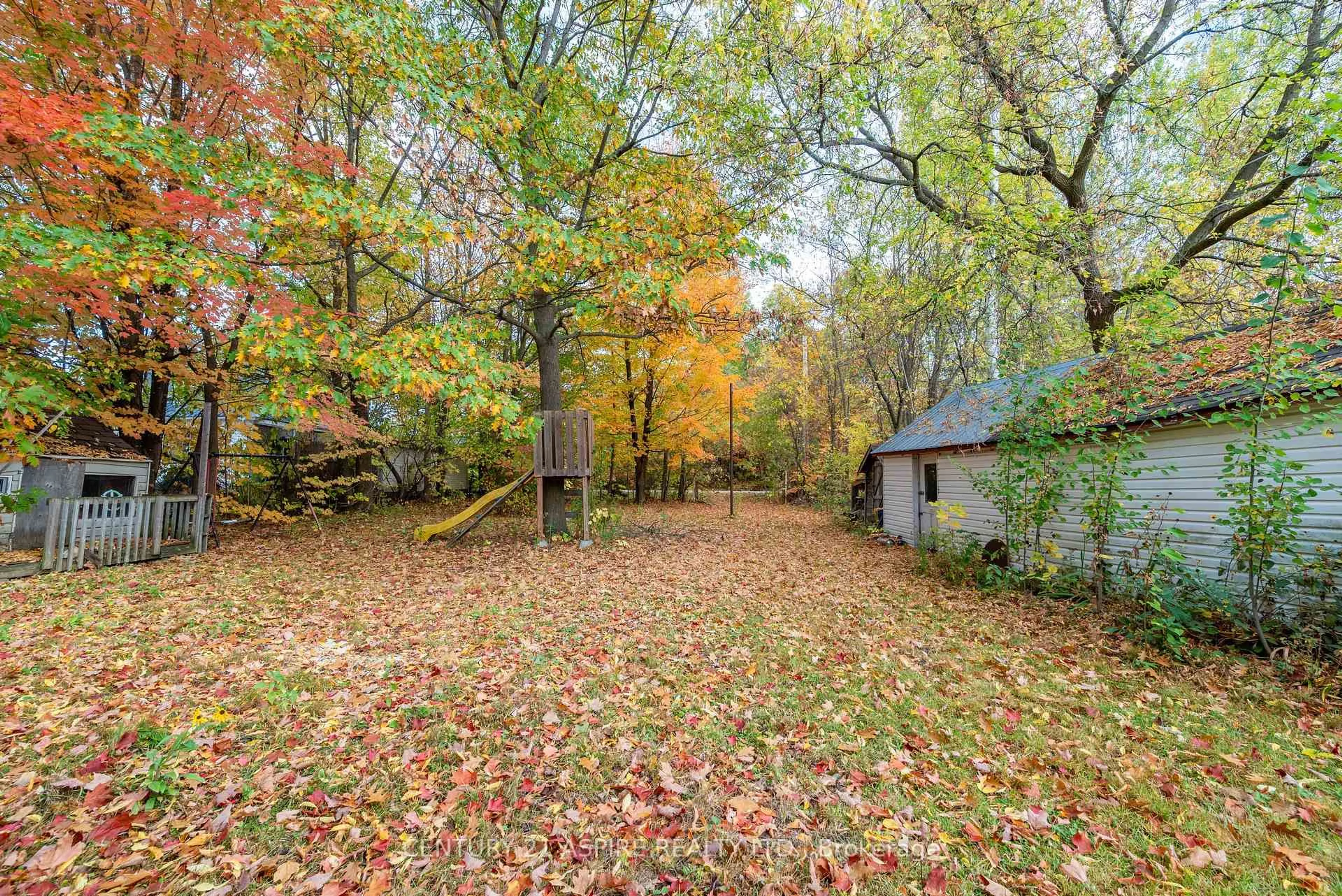 Patio, forest/trees view for 535 McGee St, Pembroke Ontario K8A 6E3