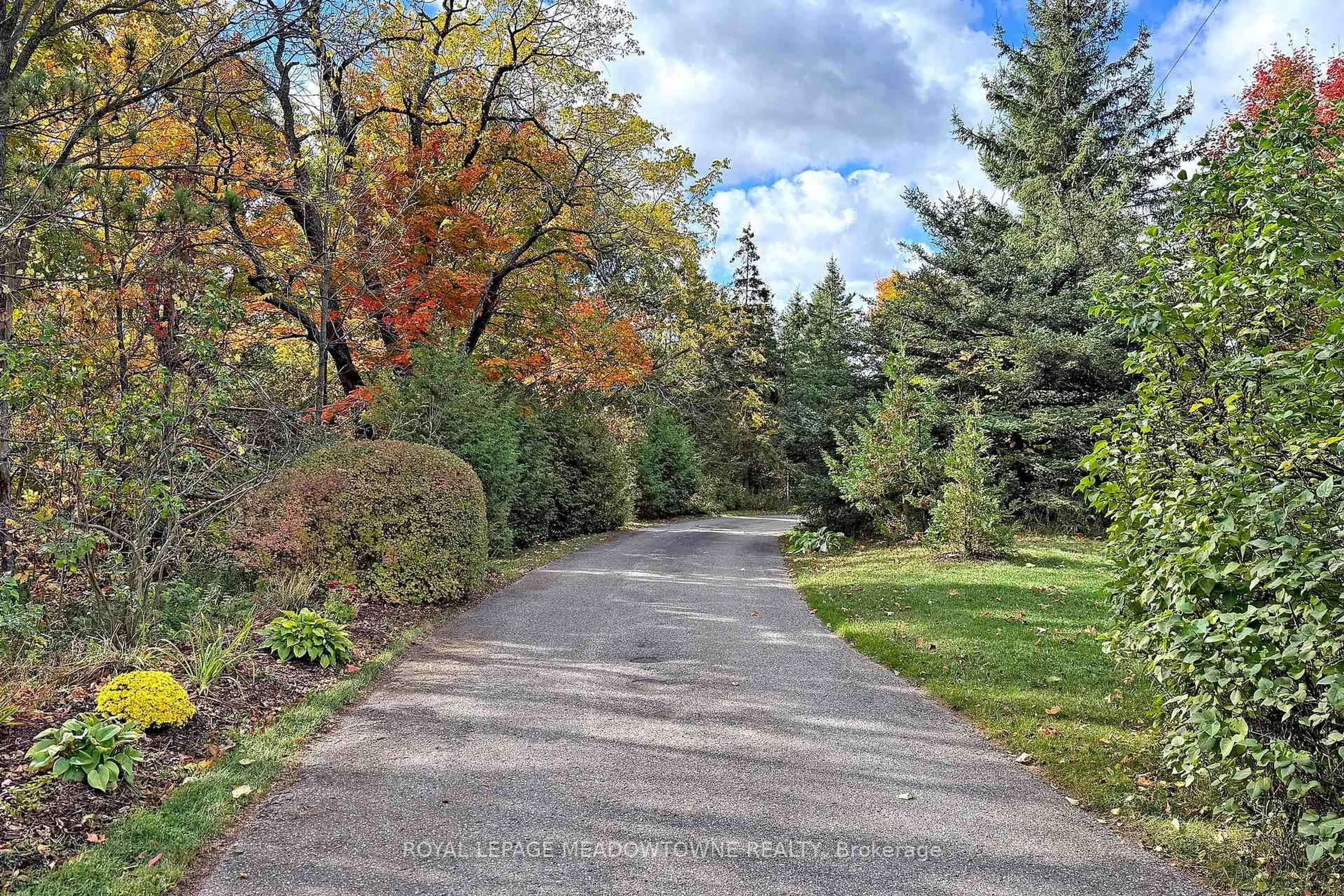 Patio, forest/trees view for 4905 First Line, Erin Ontario L7J 2L9