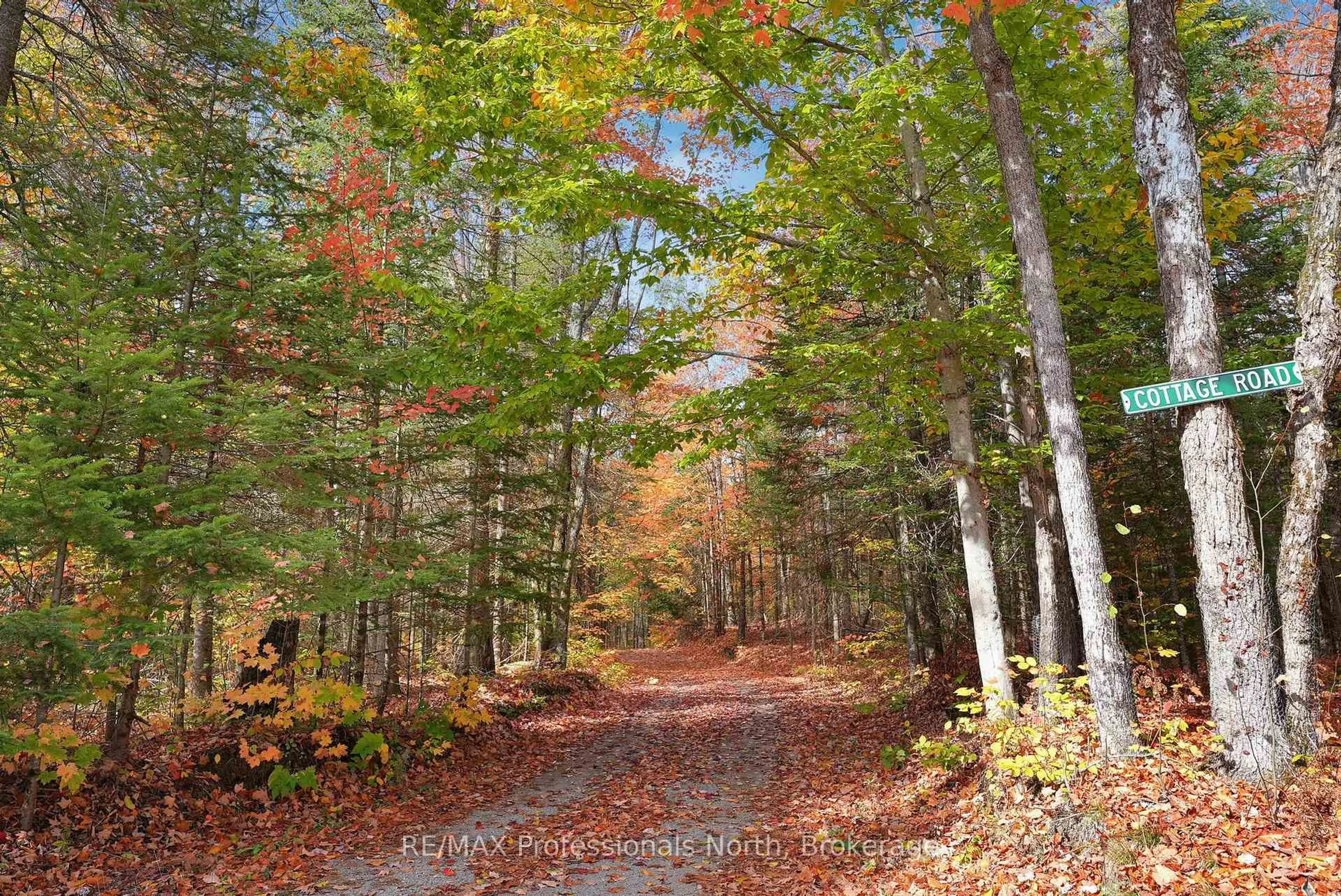 Unknown for 1966 Bacon Rd, Minden Hills Ontario K0M 2A1