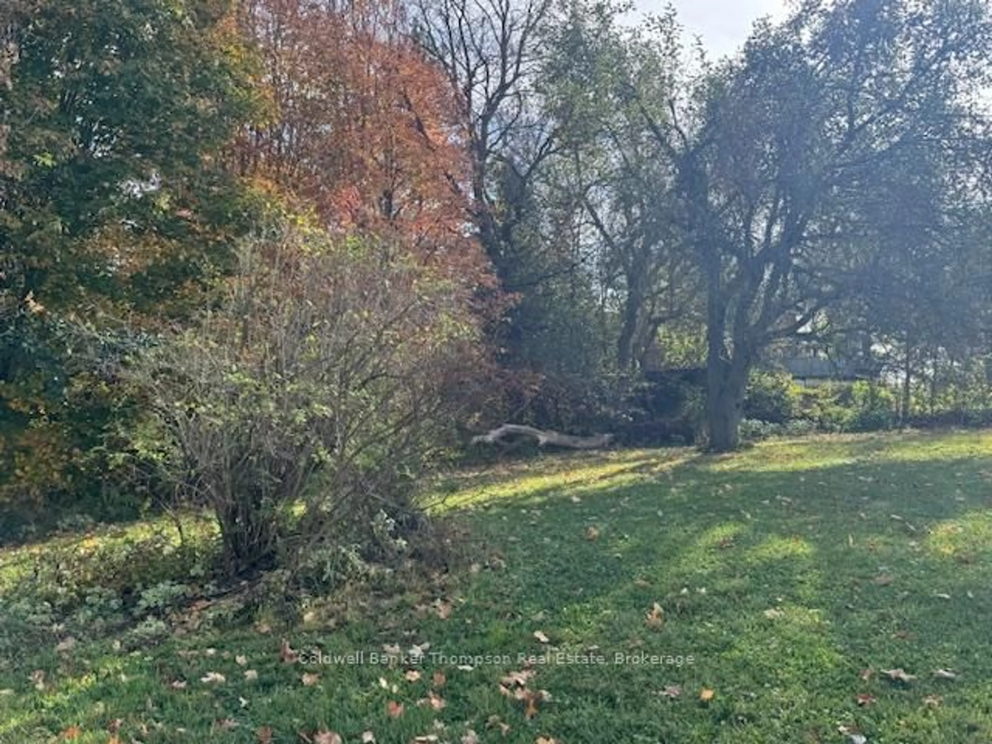 A pic from outside/outdoor area/front of a property/back of a property/a pic from drone, forest/trees view for 78 James St, Burk's Falls Ontario P0A 1C0