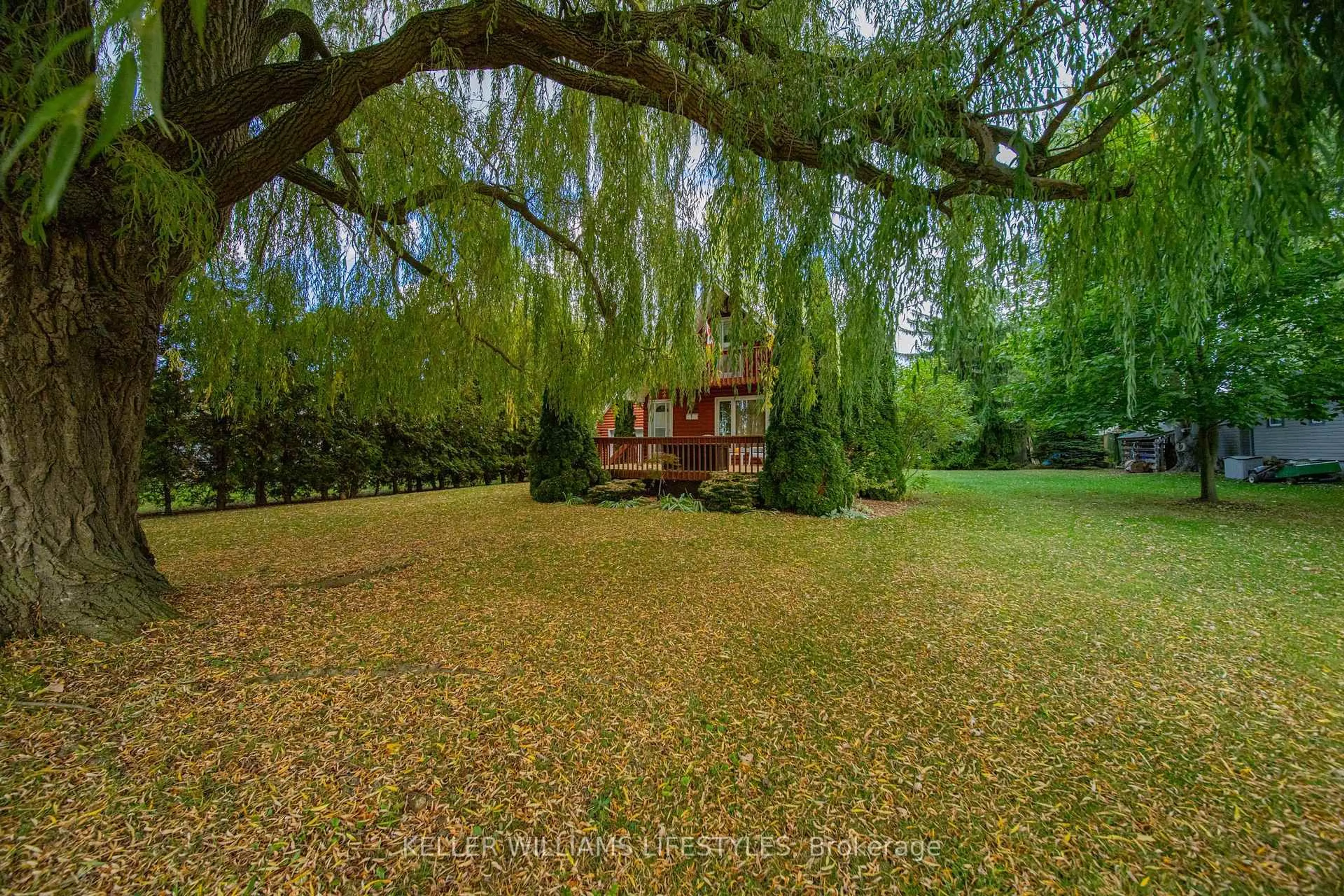 A pic from outside/outdoor area/front of a property/back of a property/a pic from drone, forest/trees view for 33742 Staffa Rd, Bluewater Ontario N0M 2T0