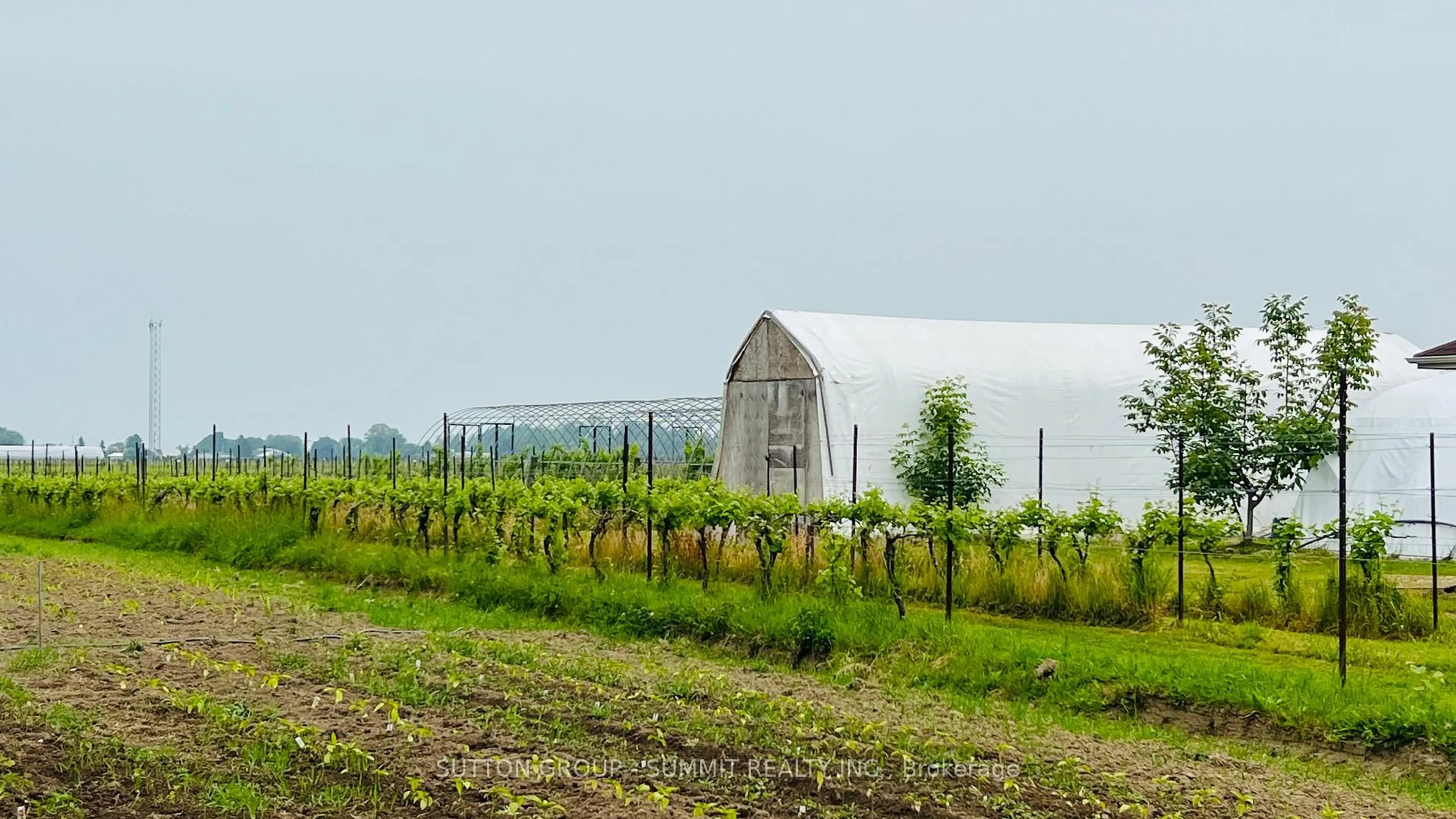 Shed for 84 EAST WEST Line, Niagara-on-the-Lake Ontario L0S 1J0
