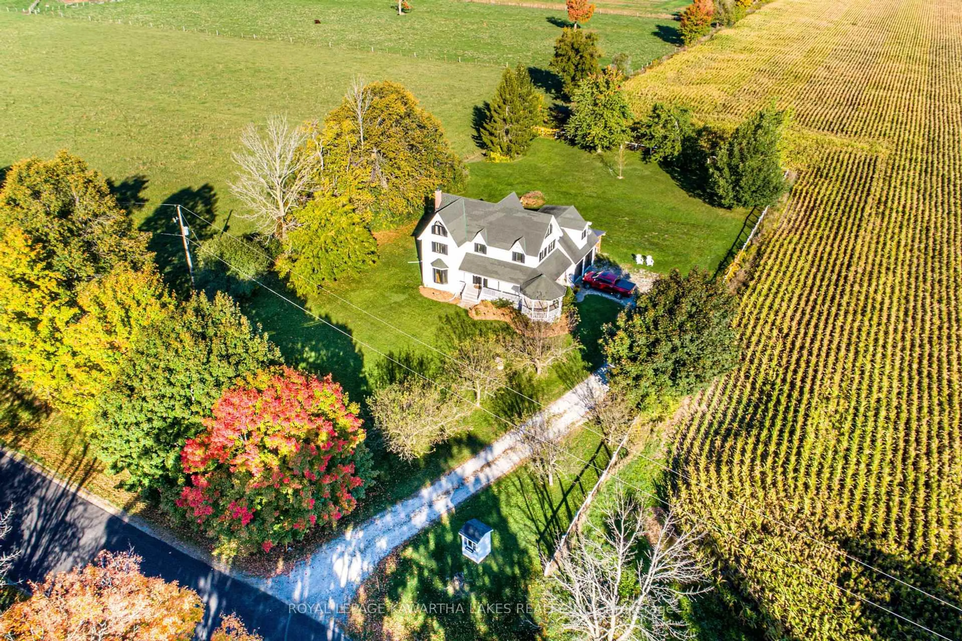 A pic from outside/outdoor area/front of a property/back of a property/a pic from drone, street for 197 Algonquin Rd, Kawartha Lakes Ontario K0M 2C0