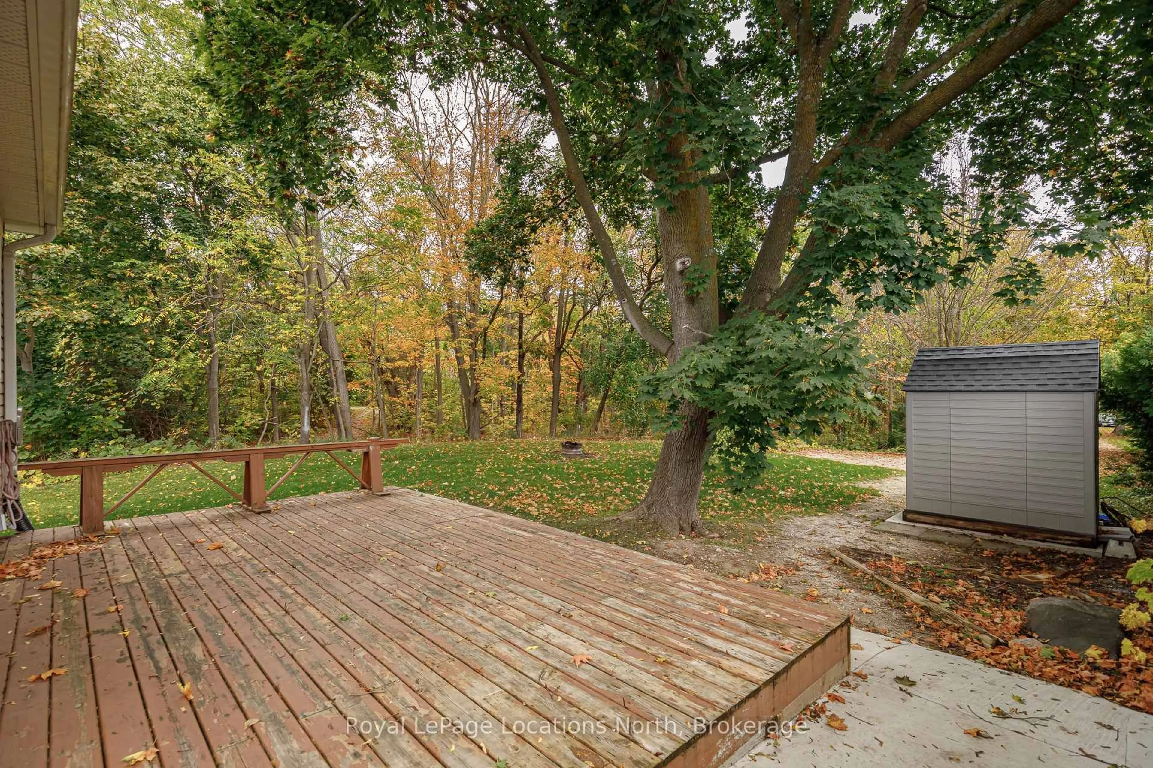 Patio, forest/trees view for 213 Marsh St, Blue Mountains Ontario N0H 1J0