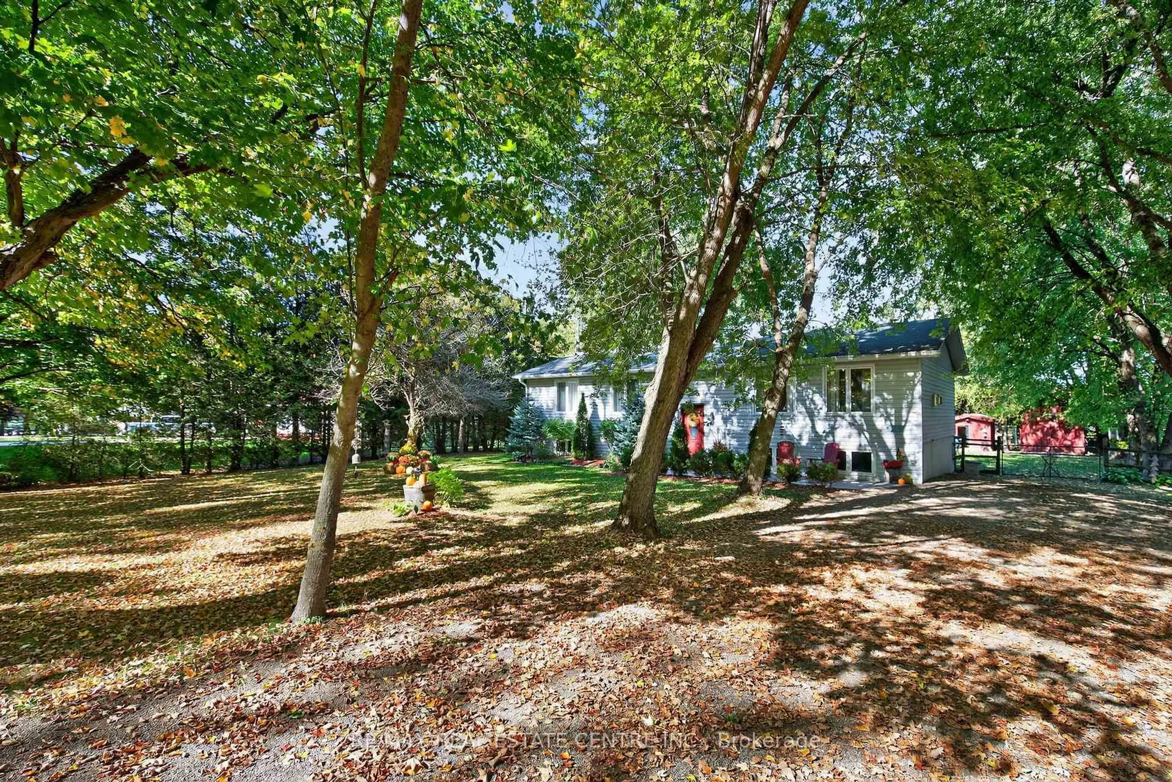 A pic from outside/outdoor area/front of a property/back of a property/a pic from drone, forest/trees view for 8424 6 Line, Wellington North Ontario N0G 2E0