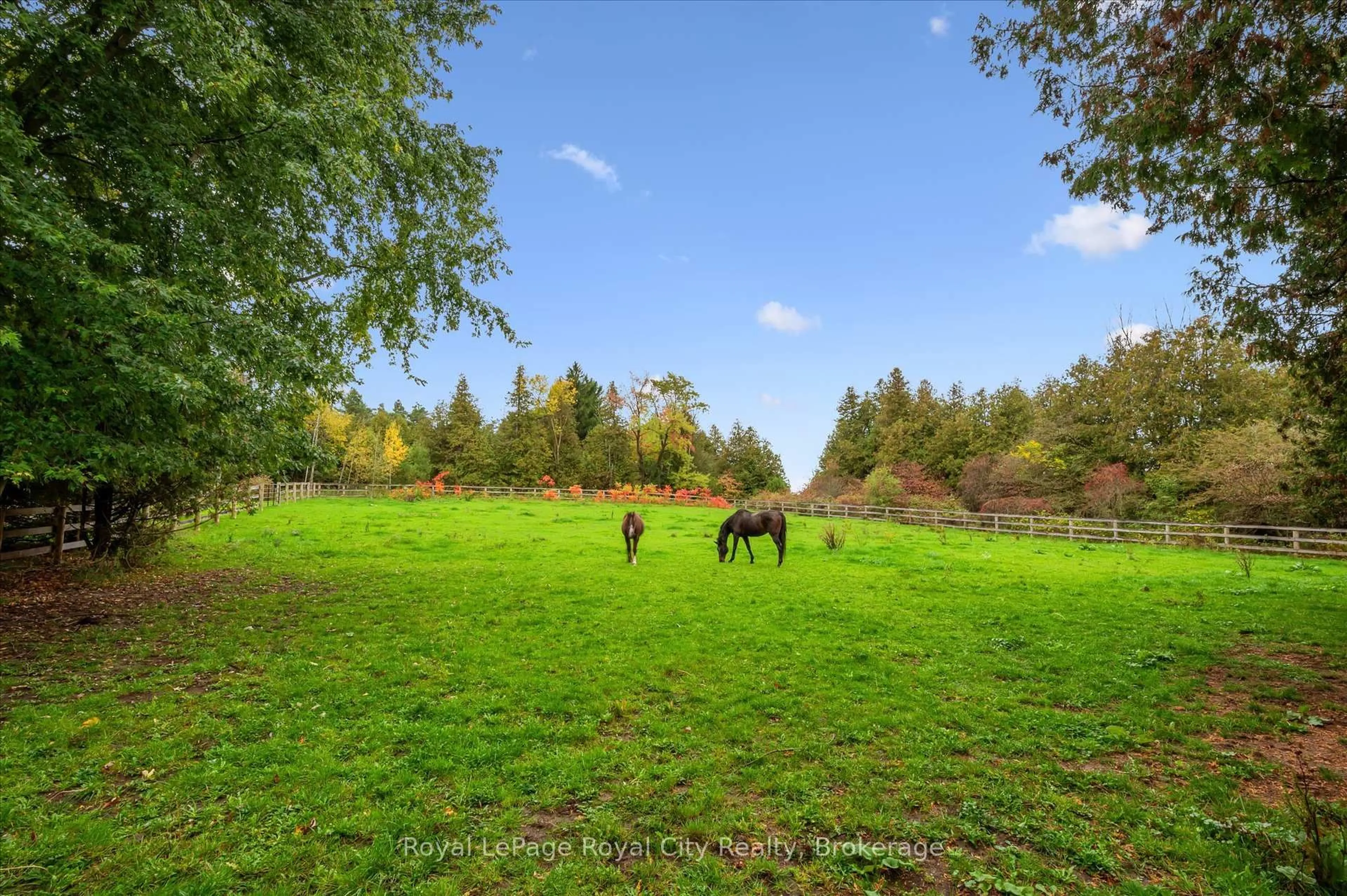 A pic from outside/outdoor area/front of a property/back of a property/a pic from drone, forest/trees view for 7907 Sixteenth Line, Wellington North Ontario N0G 1A0