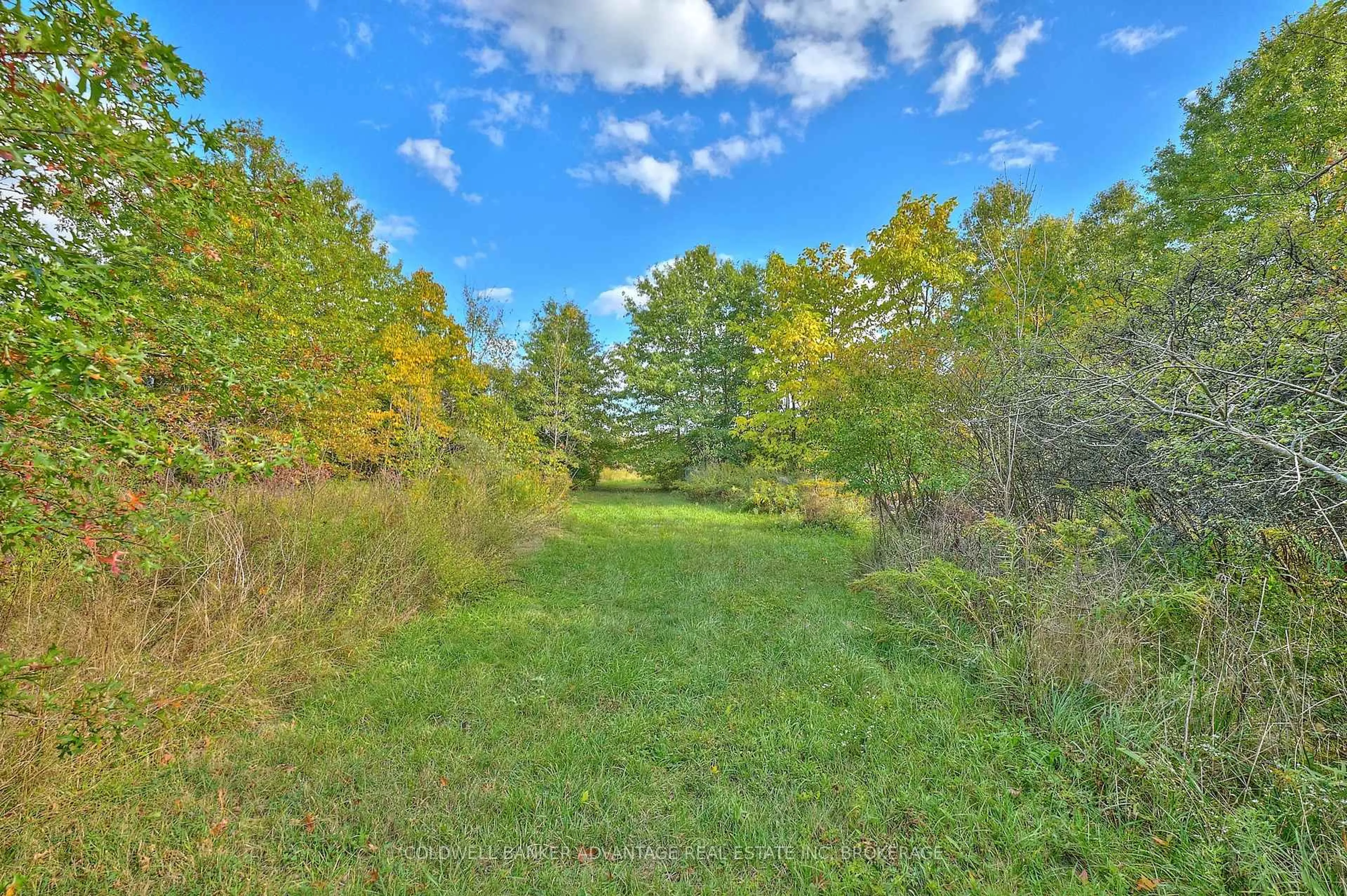 A pic from outside/outdoor area/front of a property/back of a property/a pic from drone, forest/trees view for 925 Carl Rd, Welland Ontario L0S 1K0