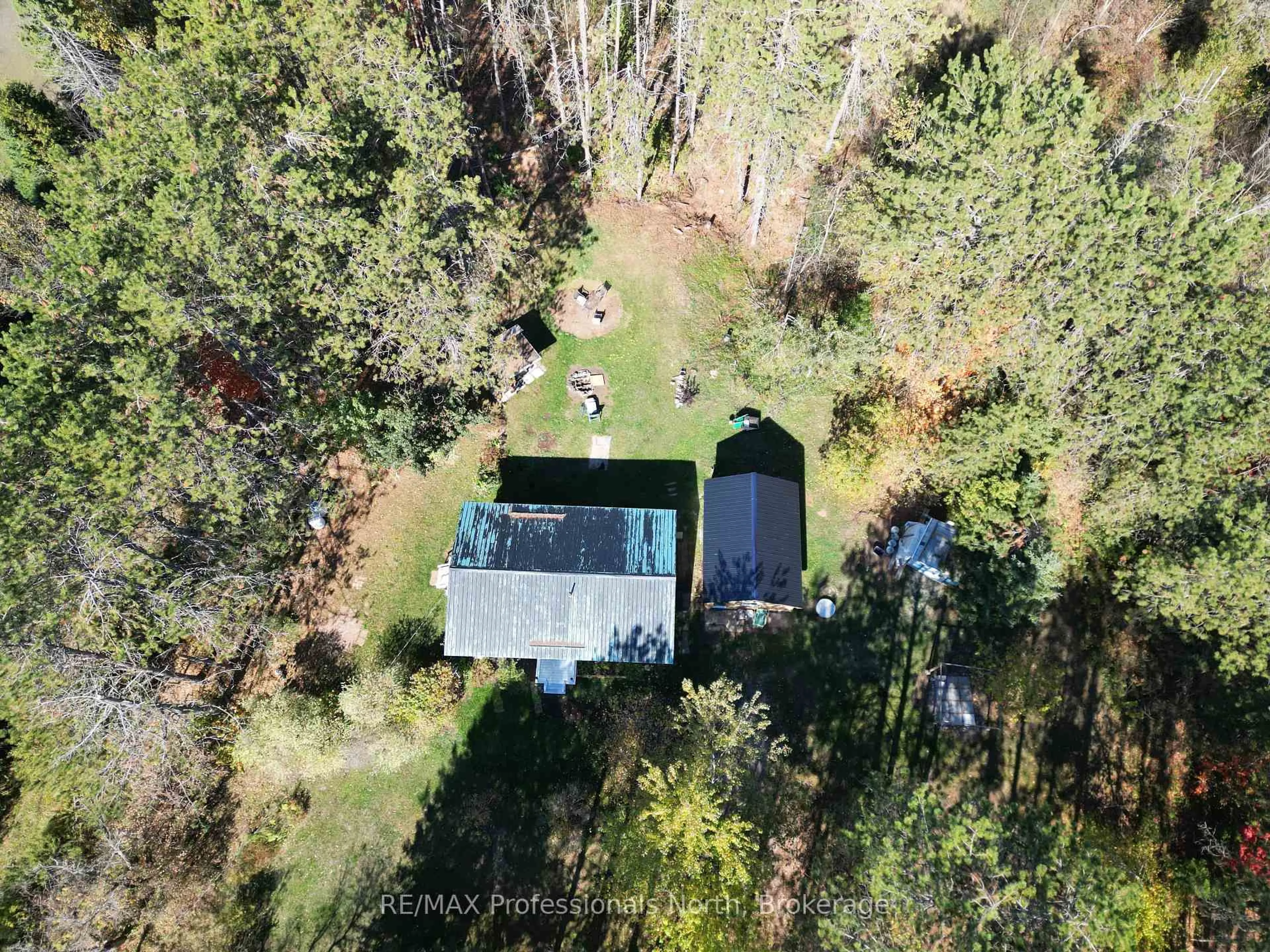 A pic from outside/outdoor area/front of a property/back of a property/a pic from drone, forest/trees view for 675 Galway Rd, Trent Lakes Ontario K0M 2A0