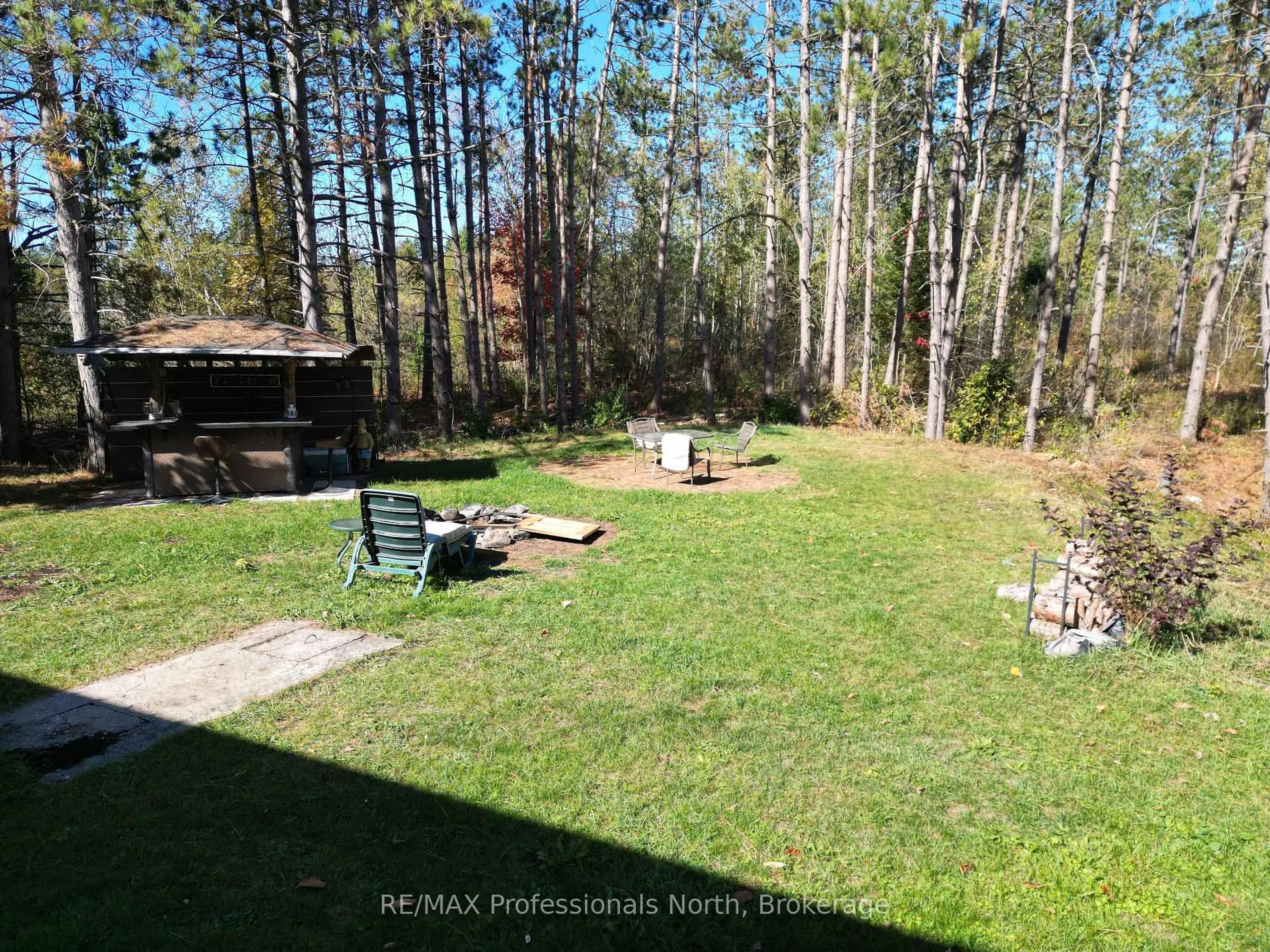 A pic from outside/outdoor area/front of a property/back of a property/a pic from drone, forest/trees view for 675 Galway Rd, Trent Lakes Ontario K0M 2A0