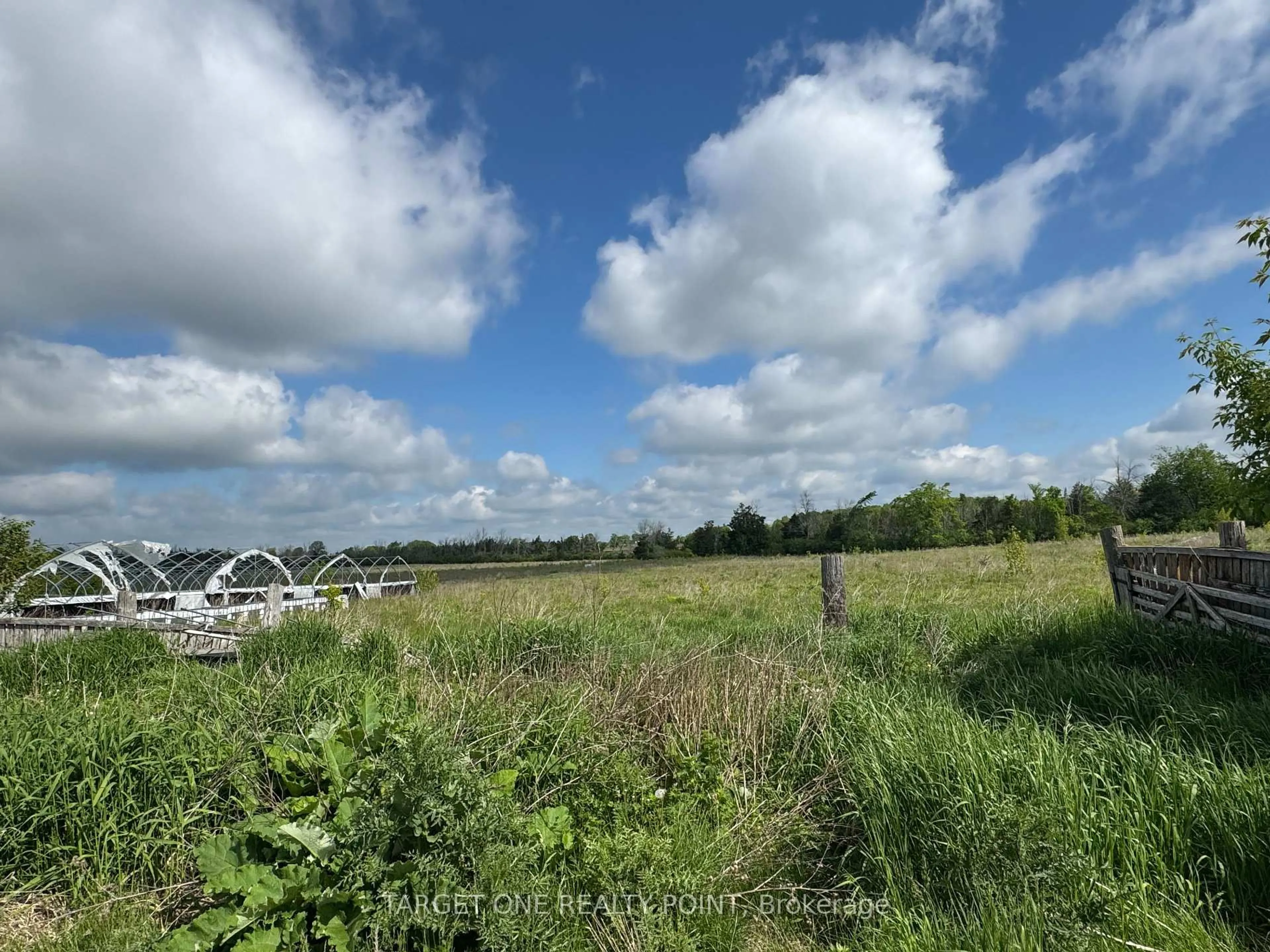A pic from outside/outdoor area/front of a property/back of a property/a pic from drone, forest/trees view for 107 Drive In Rd, Greater Napanee Ontario K7R 3L1