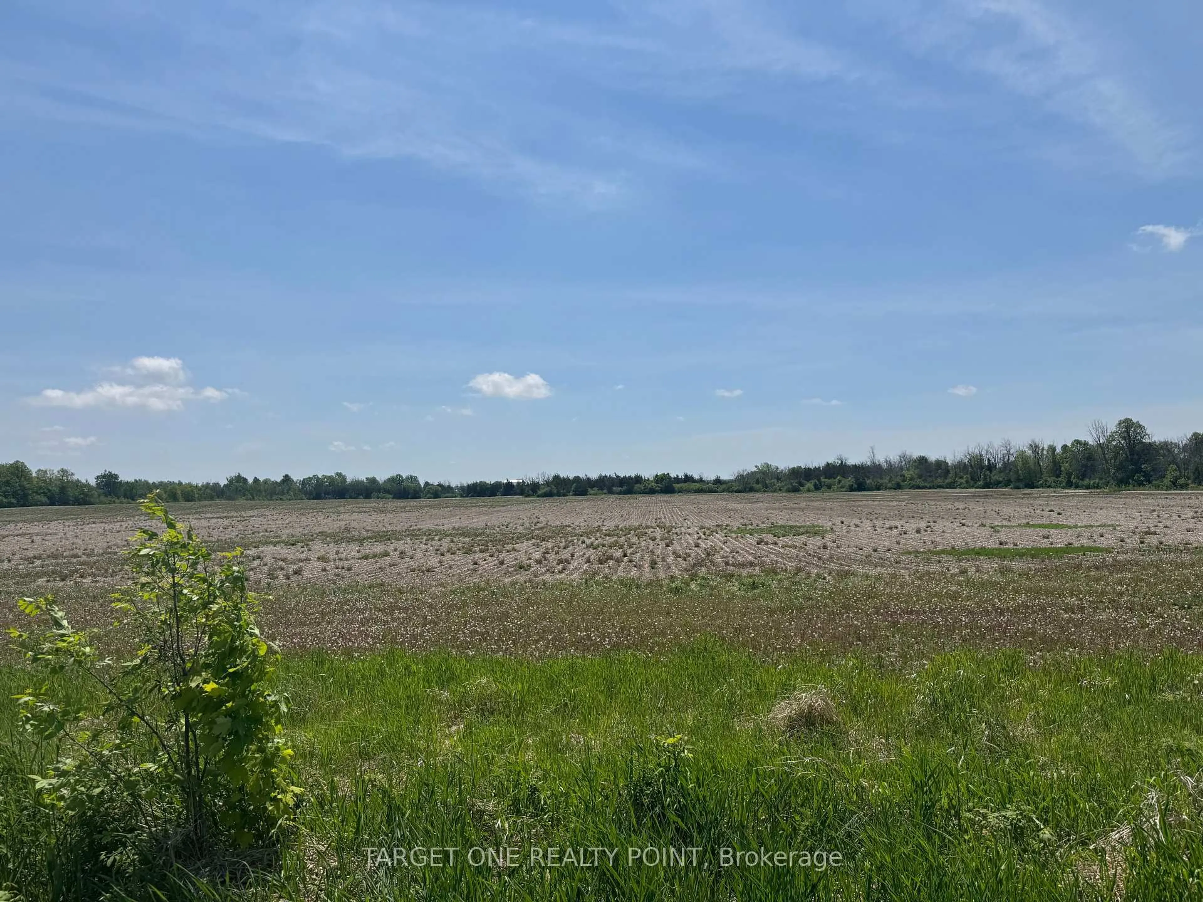 A pic of a room for 107 Drive In Rd, Greater Napanee Ontario K7R 3L1