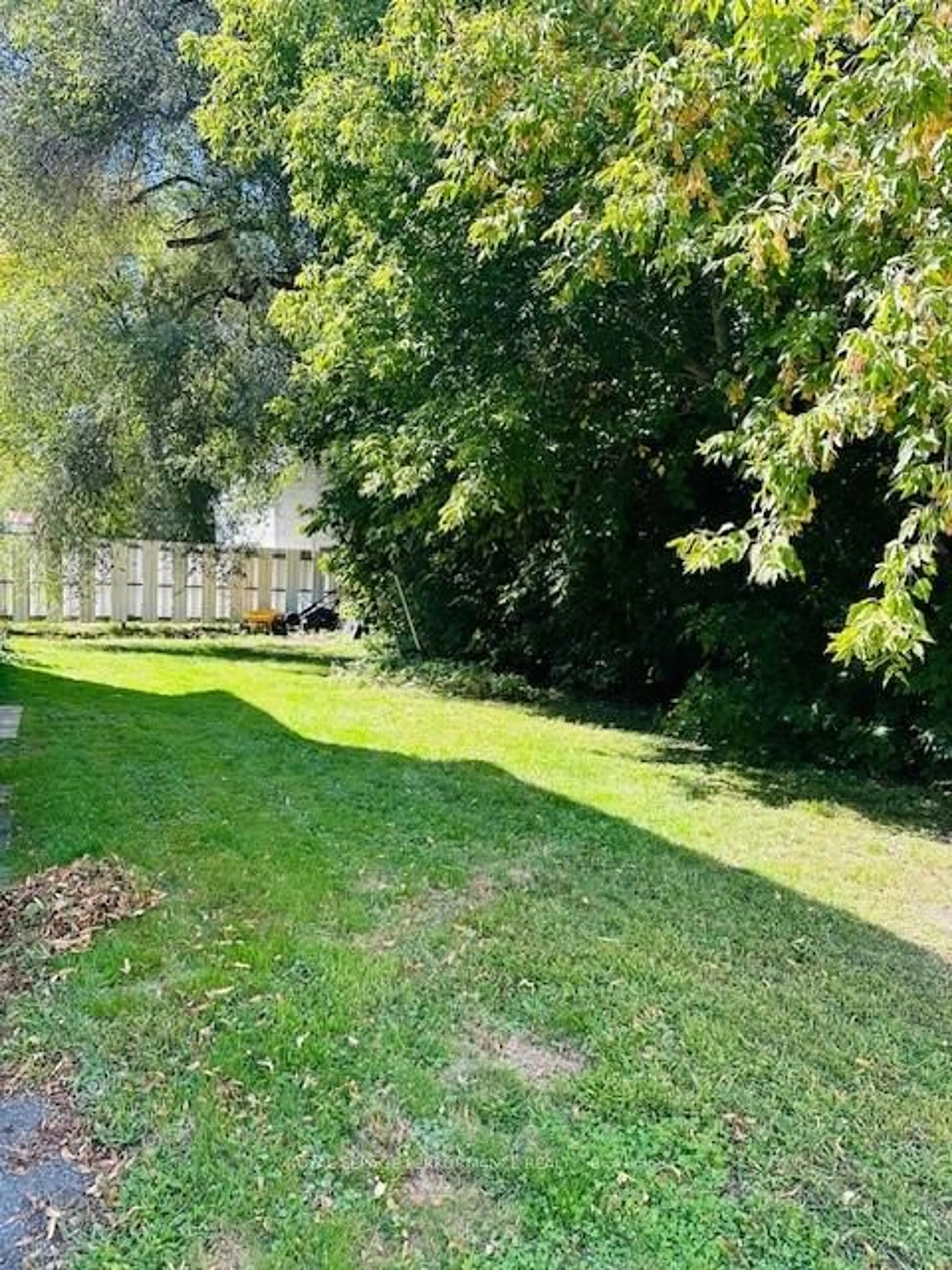 A pic from outside/outdoor area/front of a property/back of a property/a pic from drone, forest/trees view for 31-35 Fourth St, Cornwall Ontario K6H 2H7