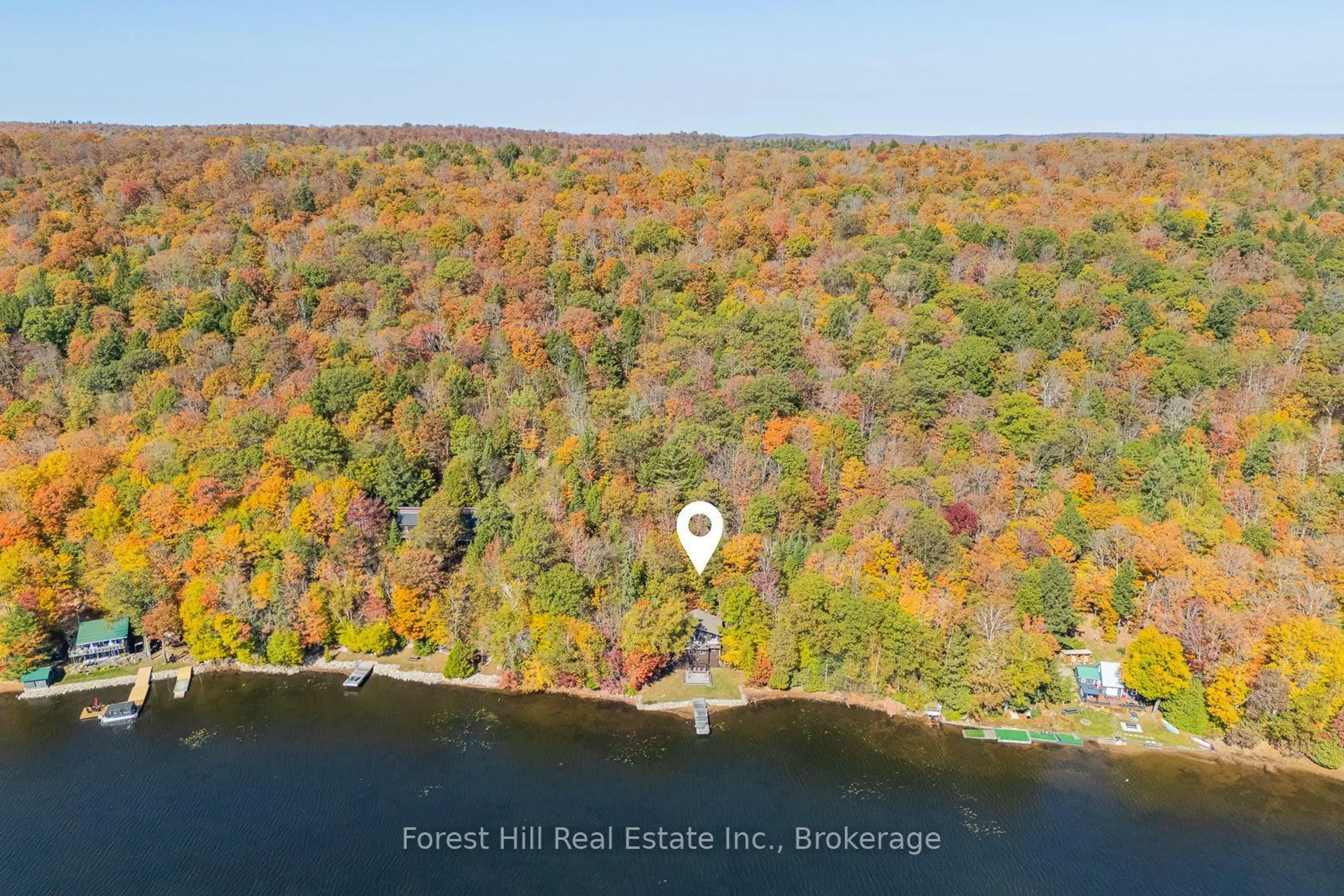 A pic from outside/outdoor area/front of a property/back of a property/a pic from drone, forest/trees view for 1187 Ivy Lane, Algonquin Highlands Ontario P0A 1E0