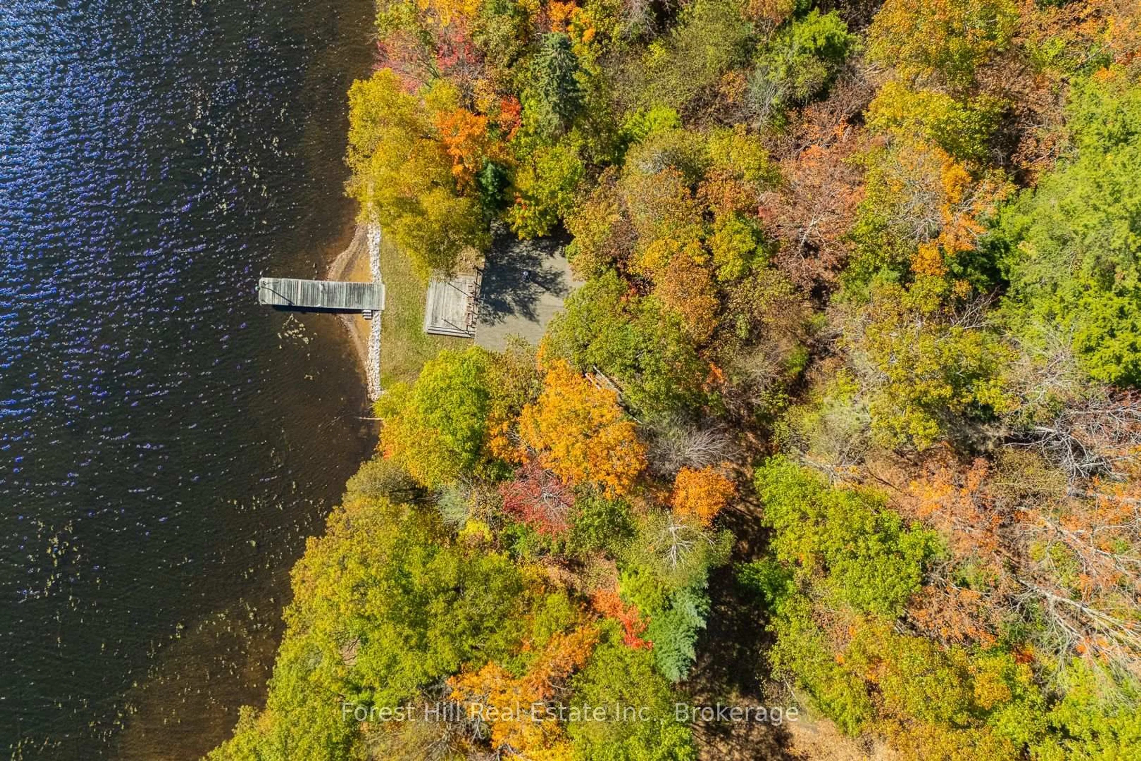 A pic from outside/outdoor area/front of a property/back of a property/a pic from drone, water/lake/river/ocean view for 1187 Ivy Lane, Algonquin Highlands Ontario P0A 1E0