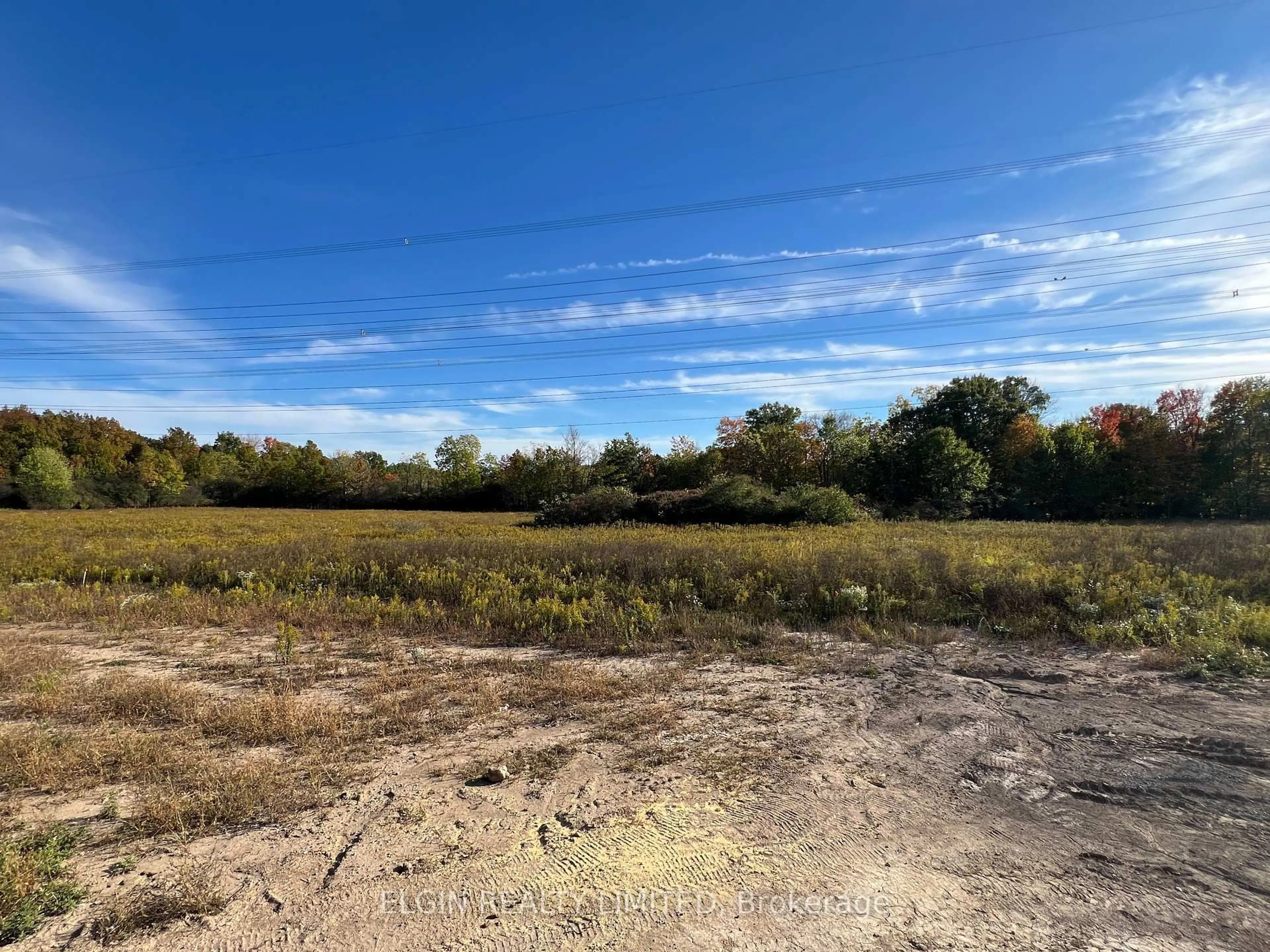 A pic from outside/outdoor area/front of a property/back of a property/a pic from drone, forest/trees view for 8 Horizon Crt, Central Elgin Ontario N5P 0E5