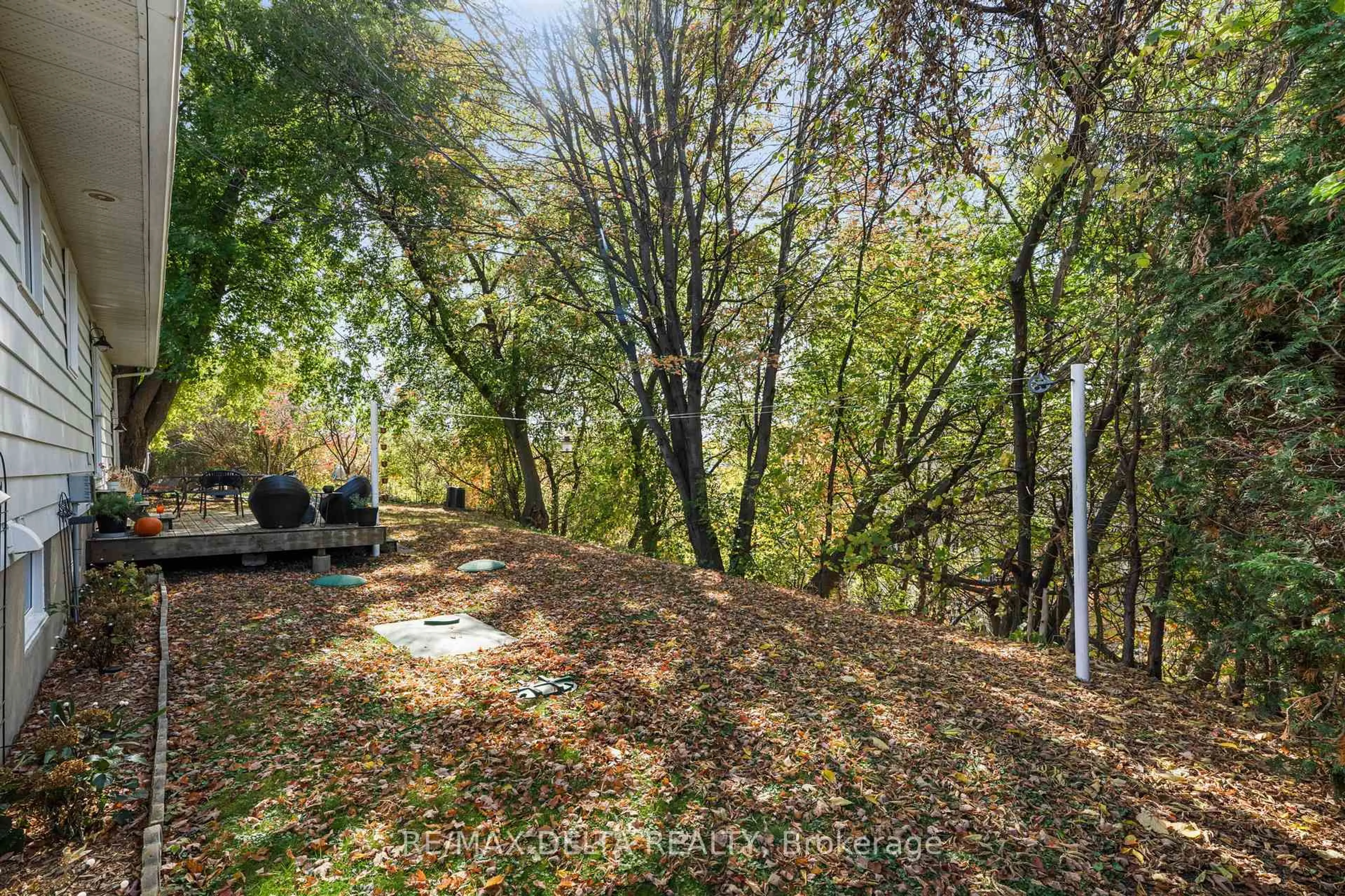 A pic from outside/outdoor area/front of a property/back of a property/a pic from drone, forest/trees view for 502 Lalonde St, Clarence-Rockland Ontario K4K 1B1